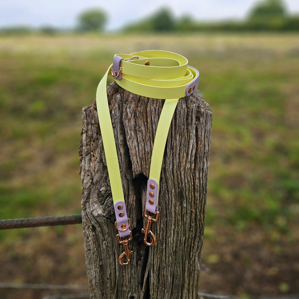 Lemon & Lilac - Waterproof BioThane© handsfree Dog Training Lead