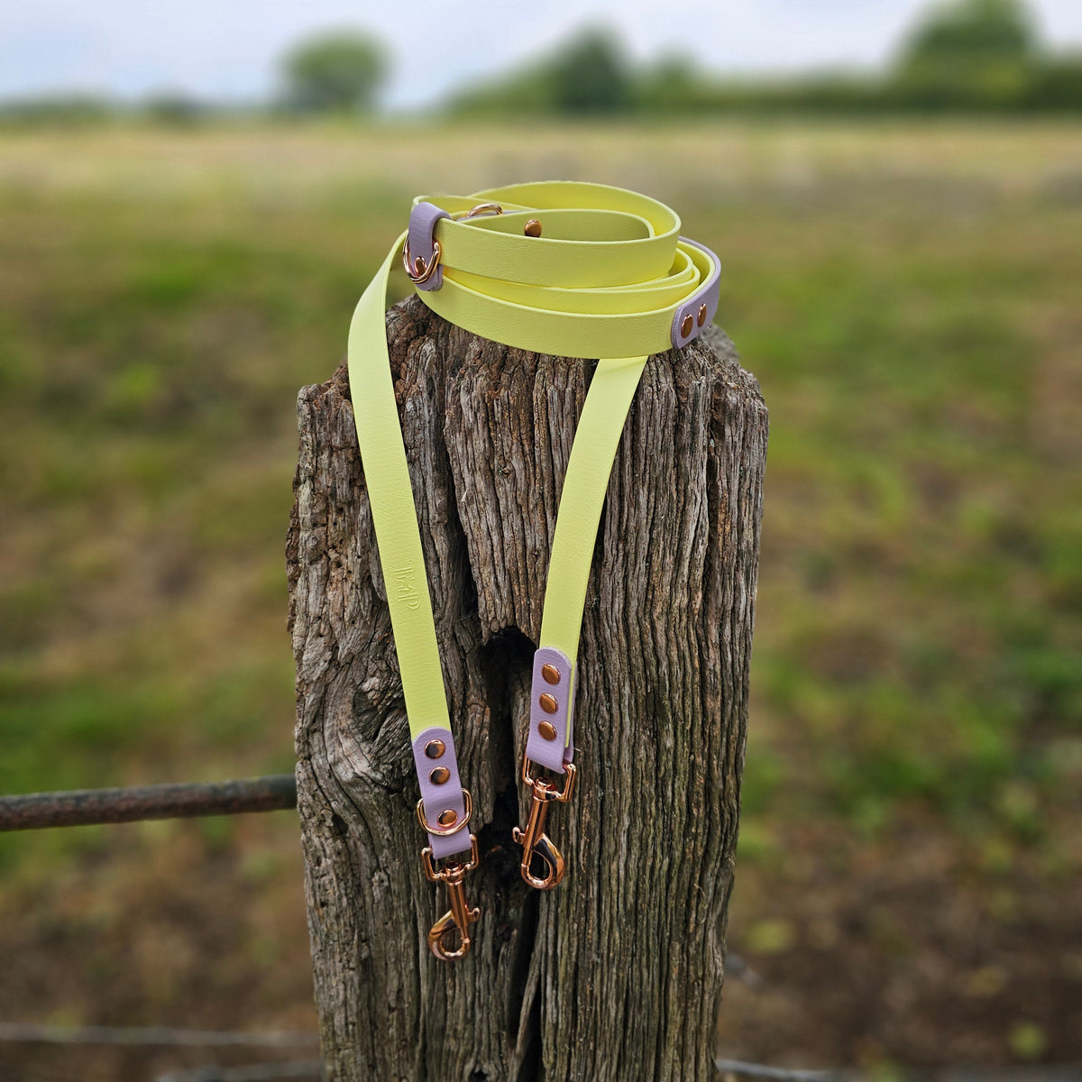 Lemon & Lilac - Waterproof BioThane© handsfree Dog Training Lead