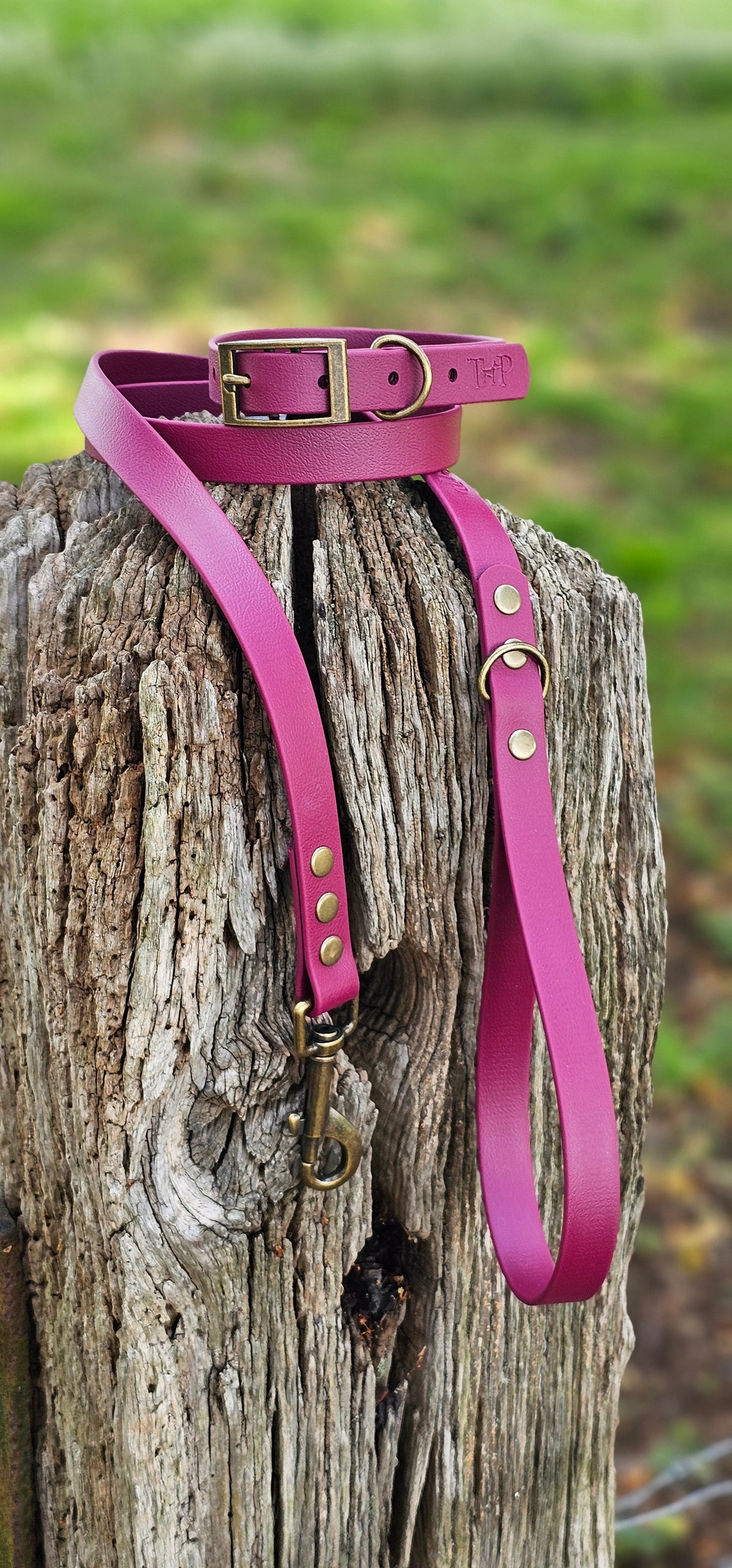 Burgundy - Waterproof BioThane© Dog Lead