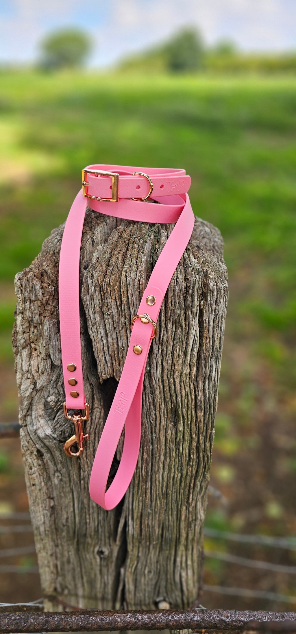 Baby Pink - Waterproof BioThane© Dog Lead
