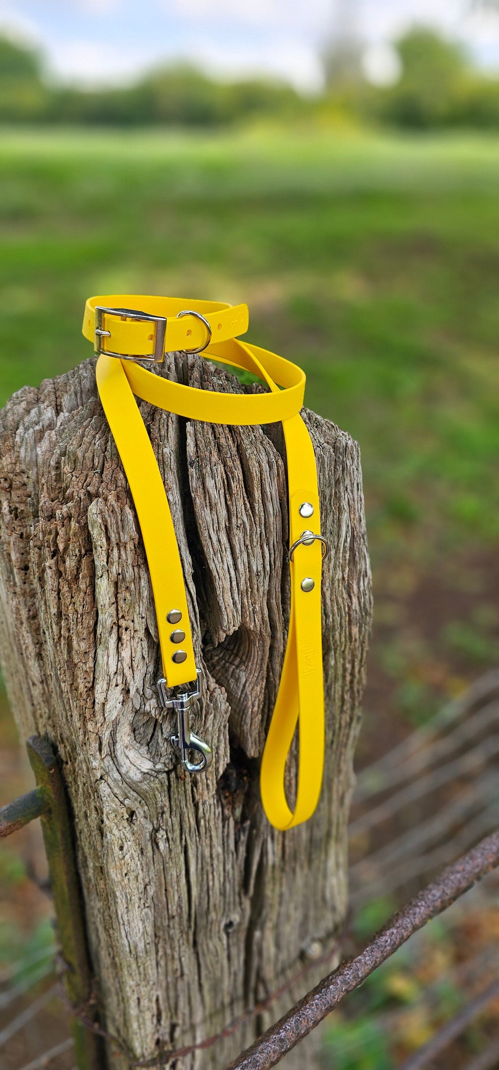 Yellow - Waterproof BioThane© Dog Lead
