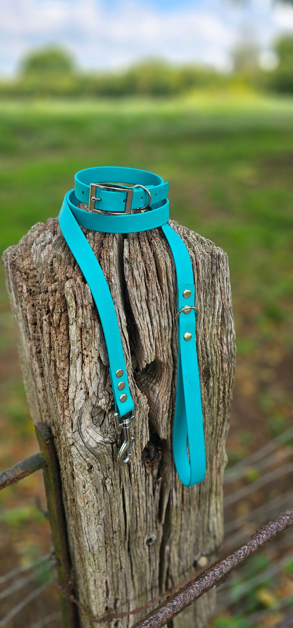 Teal - Waterproof BioThane© Dog Lead