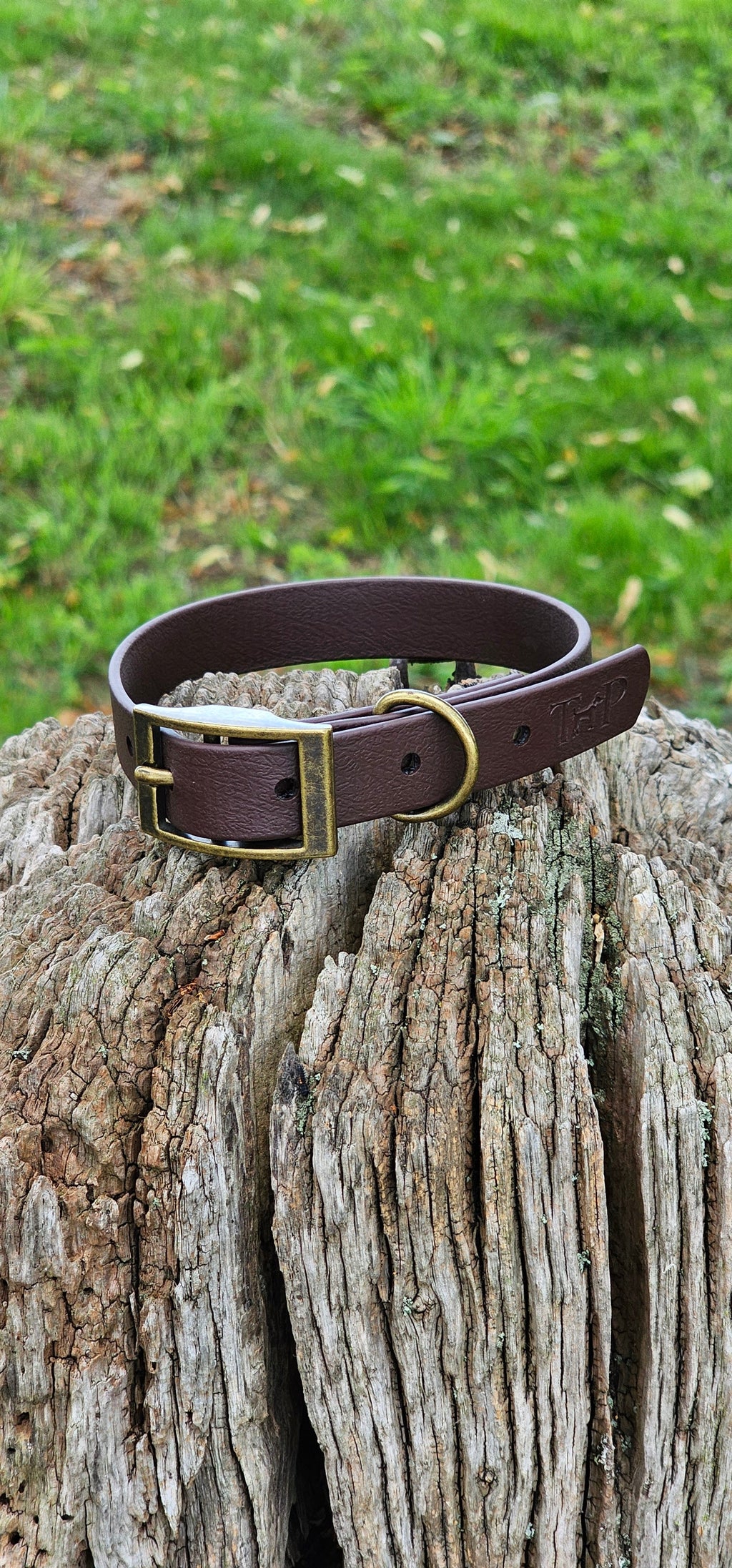 Dark Brown - Waterproof BioThane© Dog Collar