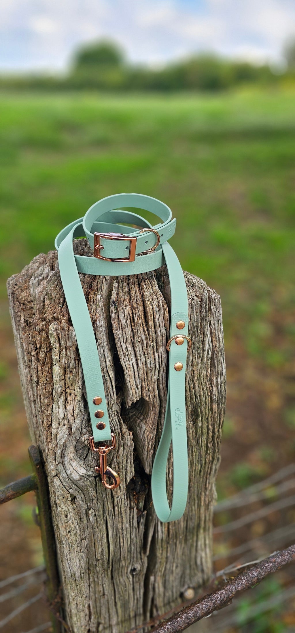 Sage - Waterproof BioThane© Dog Lead