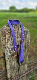 Purple - Waterproof BioThane© Dog Lead