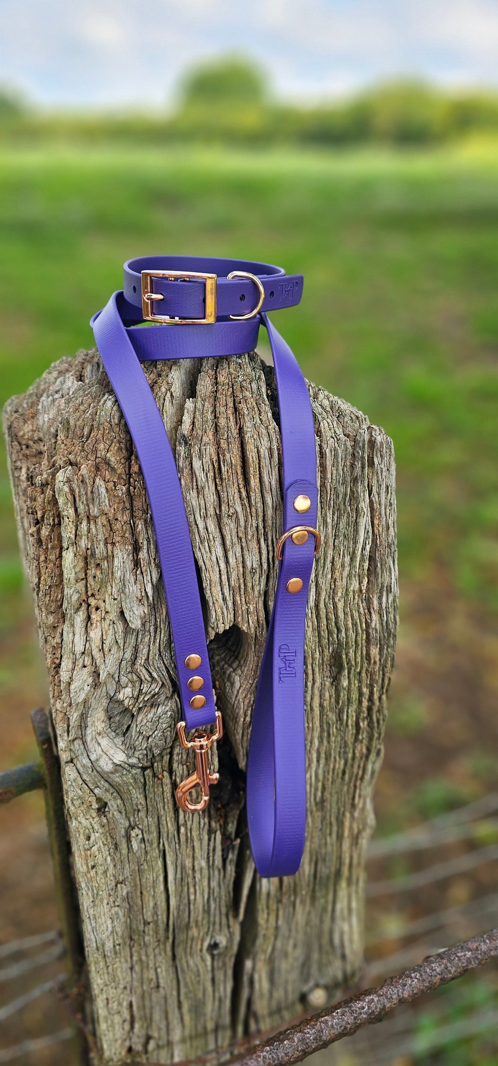 Purple - Waterproof BioThane© Dog Lead