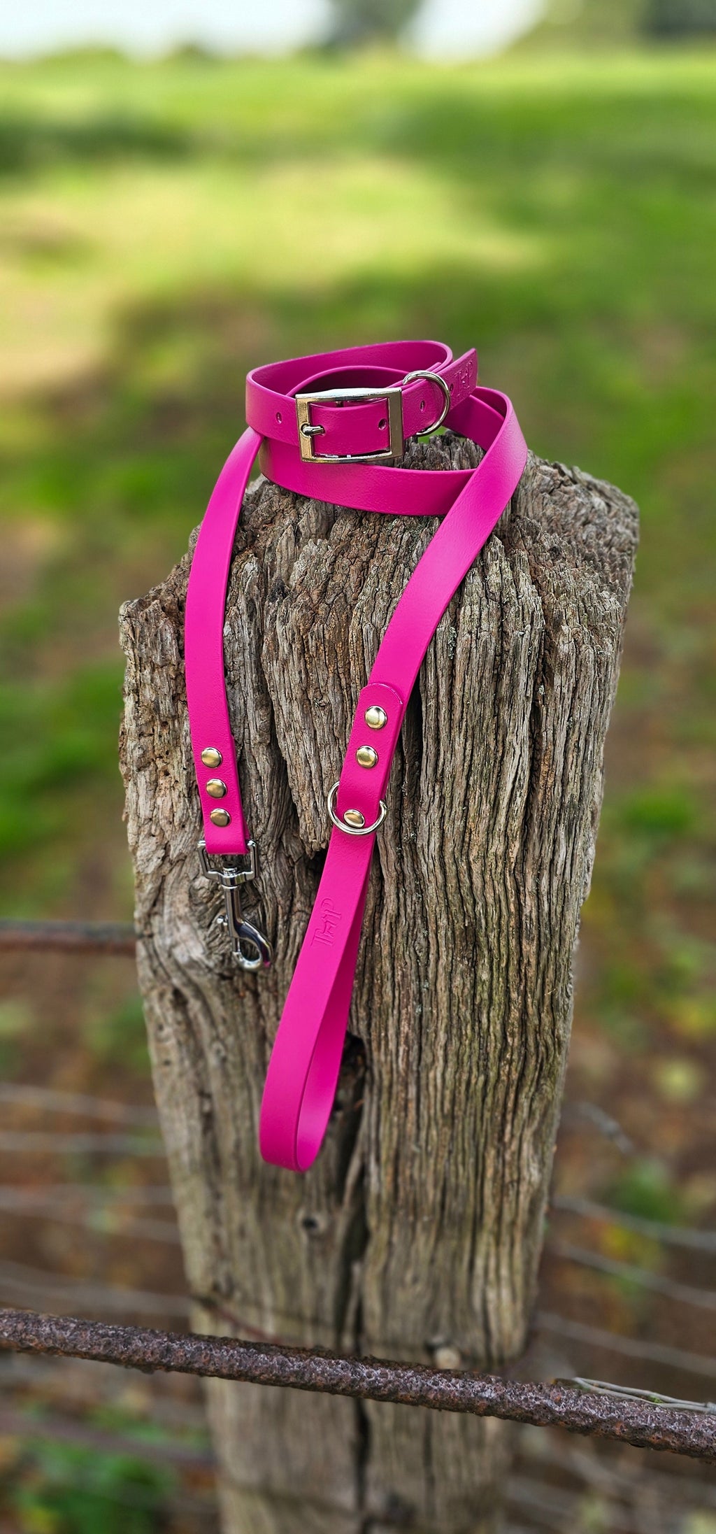 Magenta - Waterproof BioThane© Dog Collar