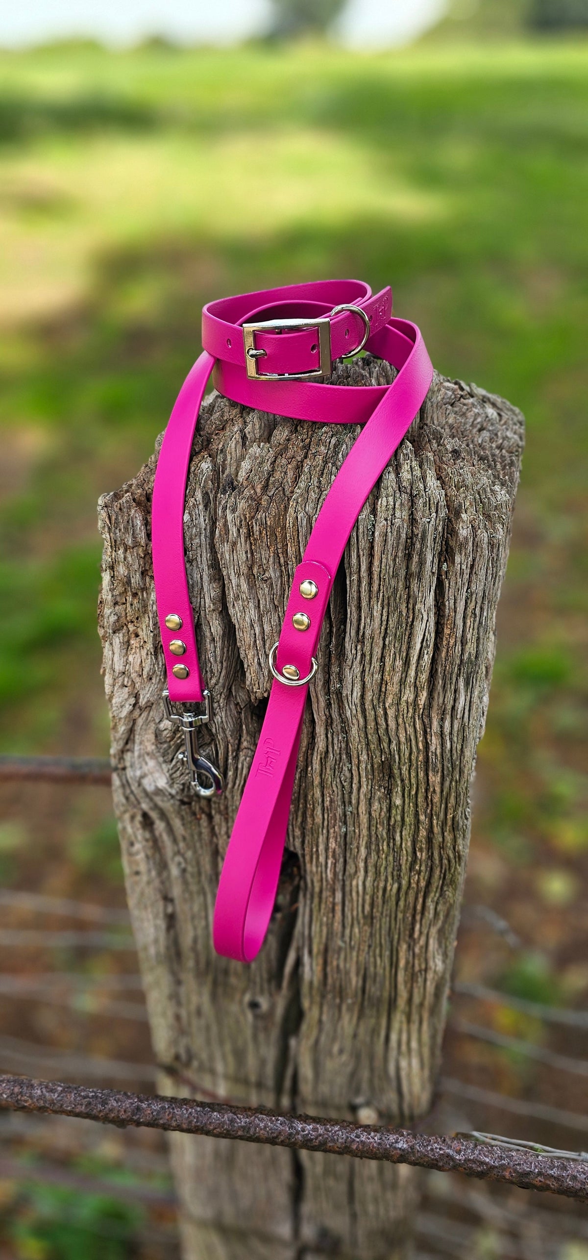 Magenta - Waterproof BioThane© Dog Collar