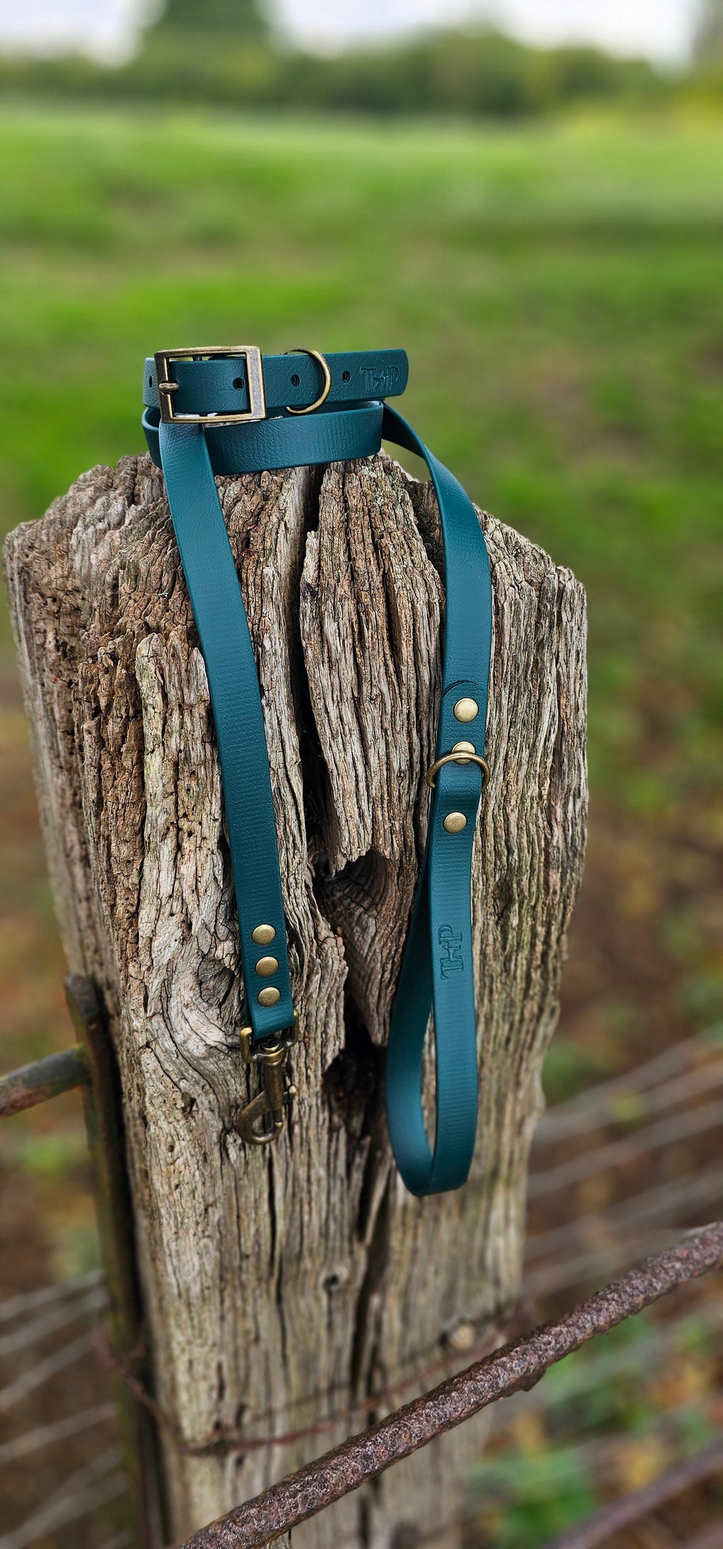 Dark Green - Waterproof BioThane© Dog Lead