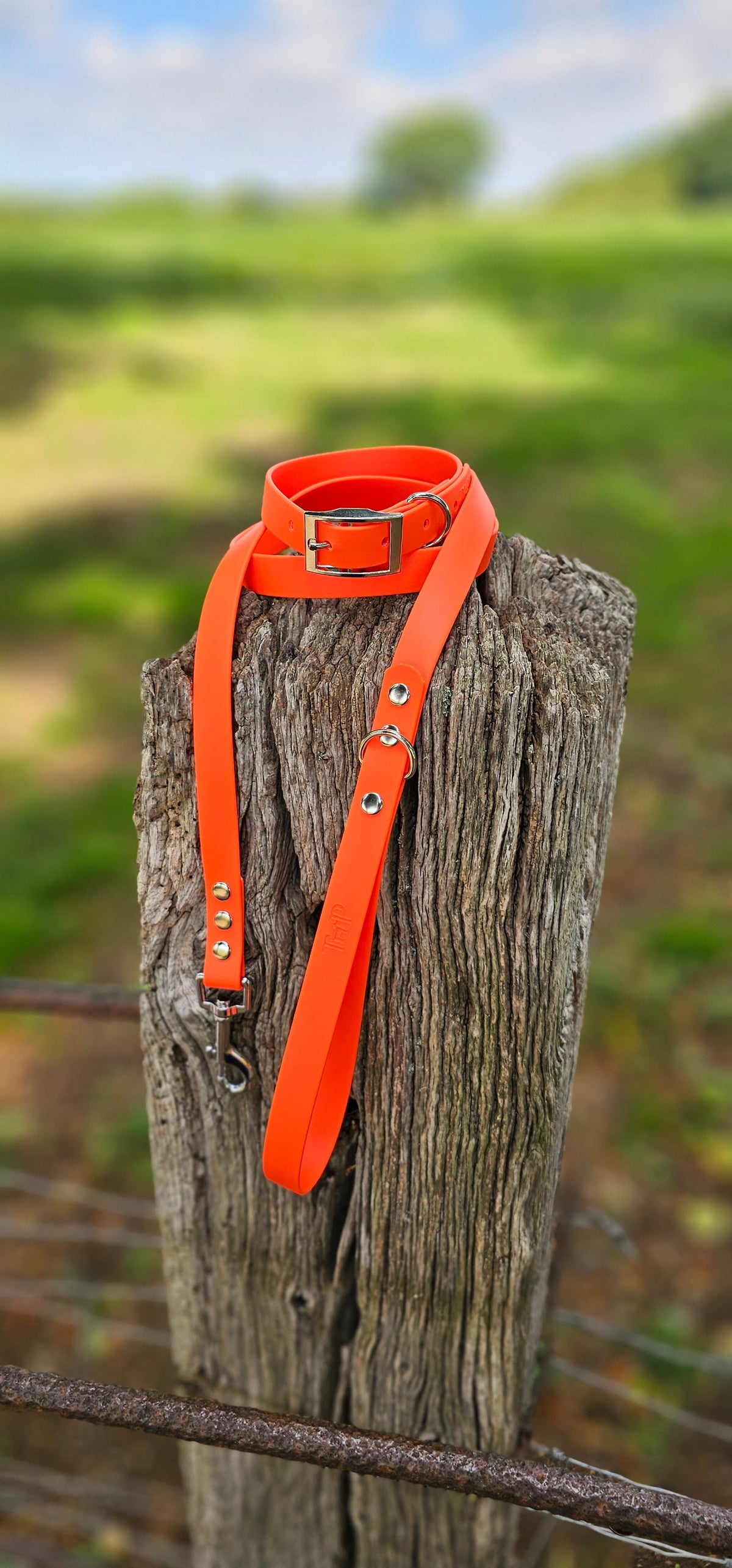 Neon Orange - Waterproof BioThane© Dog Collar