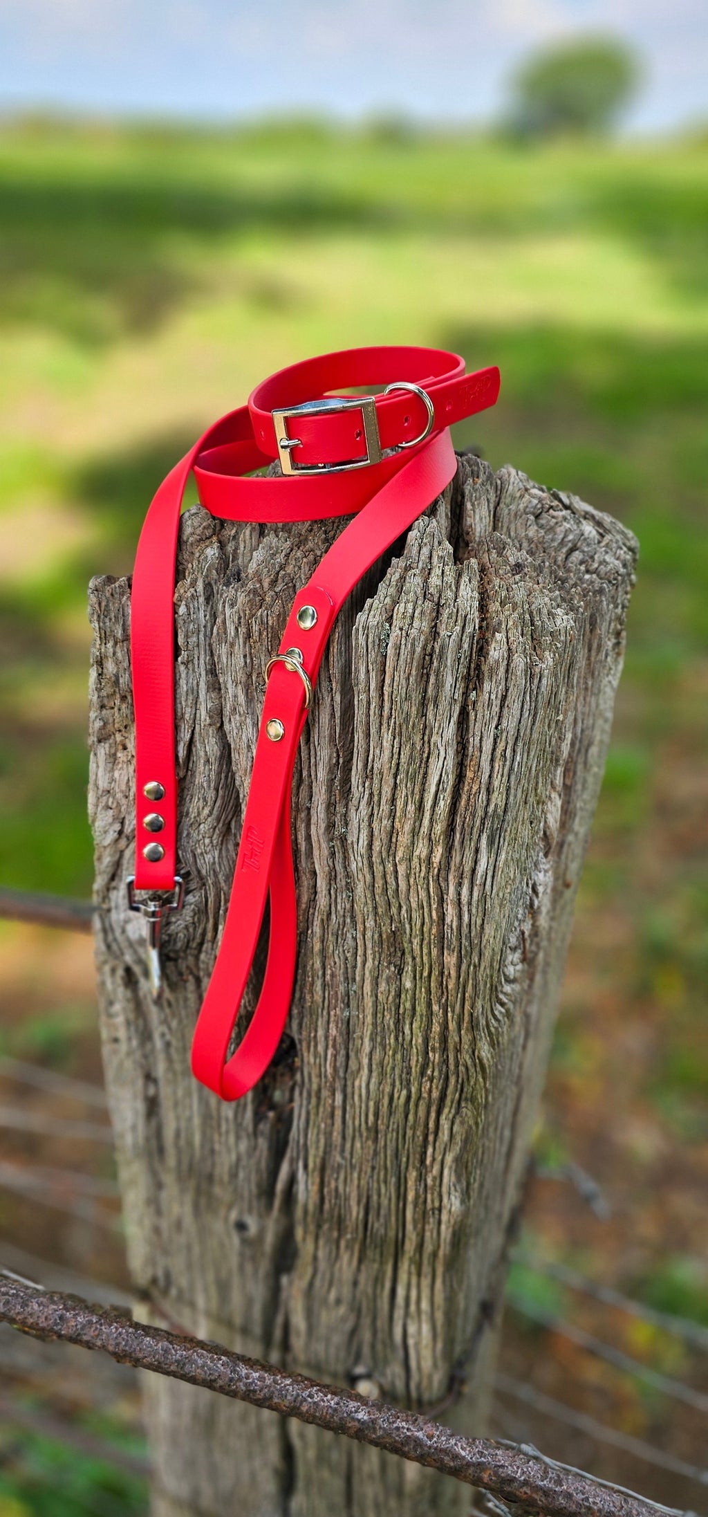 Red - Waterproof BioThane© Dog Lead