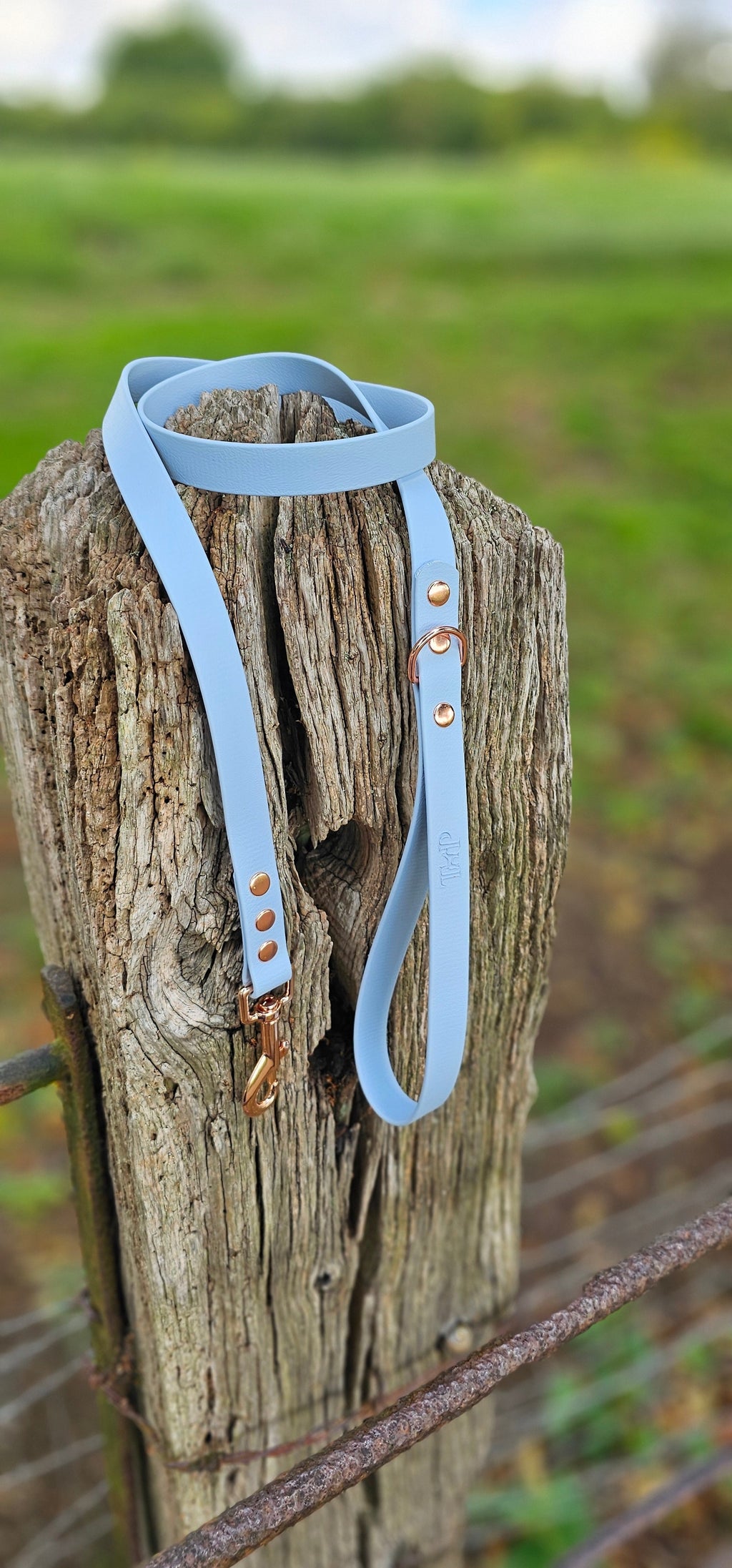 Pastel Blue - Waterproof BioThane© Dog Lead