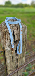 Pastel Blue - Waterproof BioThane© Dog Lead