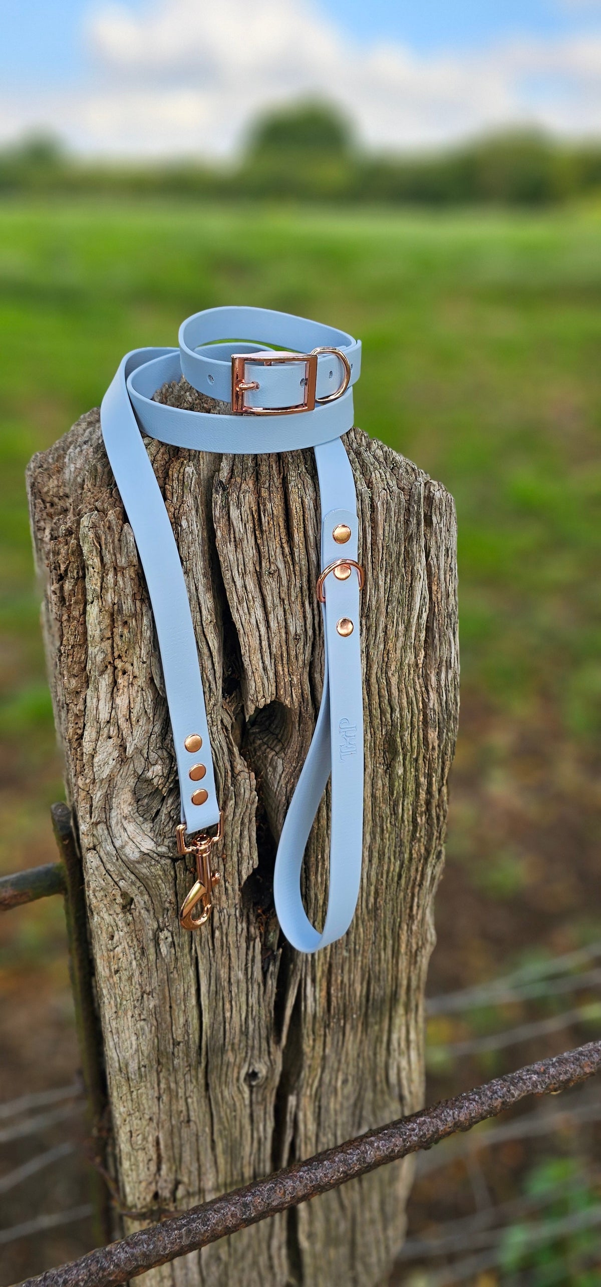 Pastel Blue - Waterproof BioThane© Dog Lead
