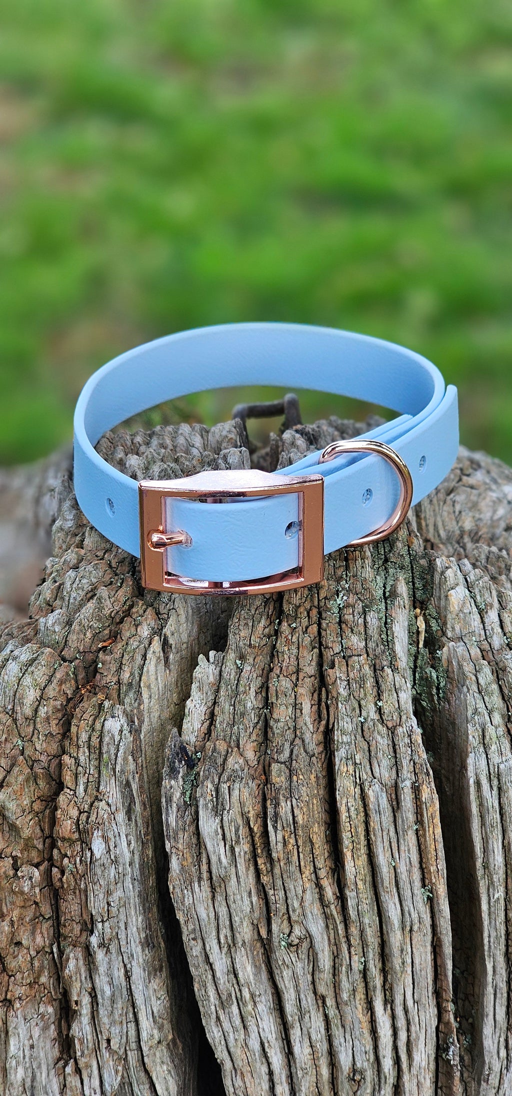 Pastel Blue - Waterproof BioThane© Dog Collar
