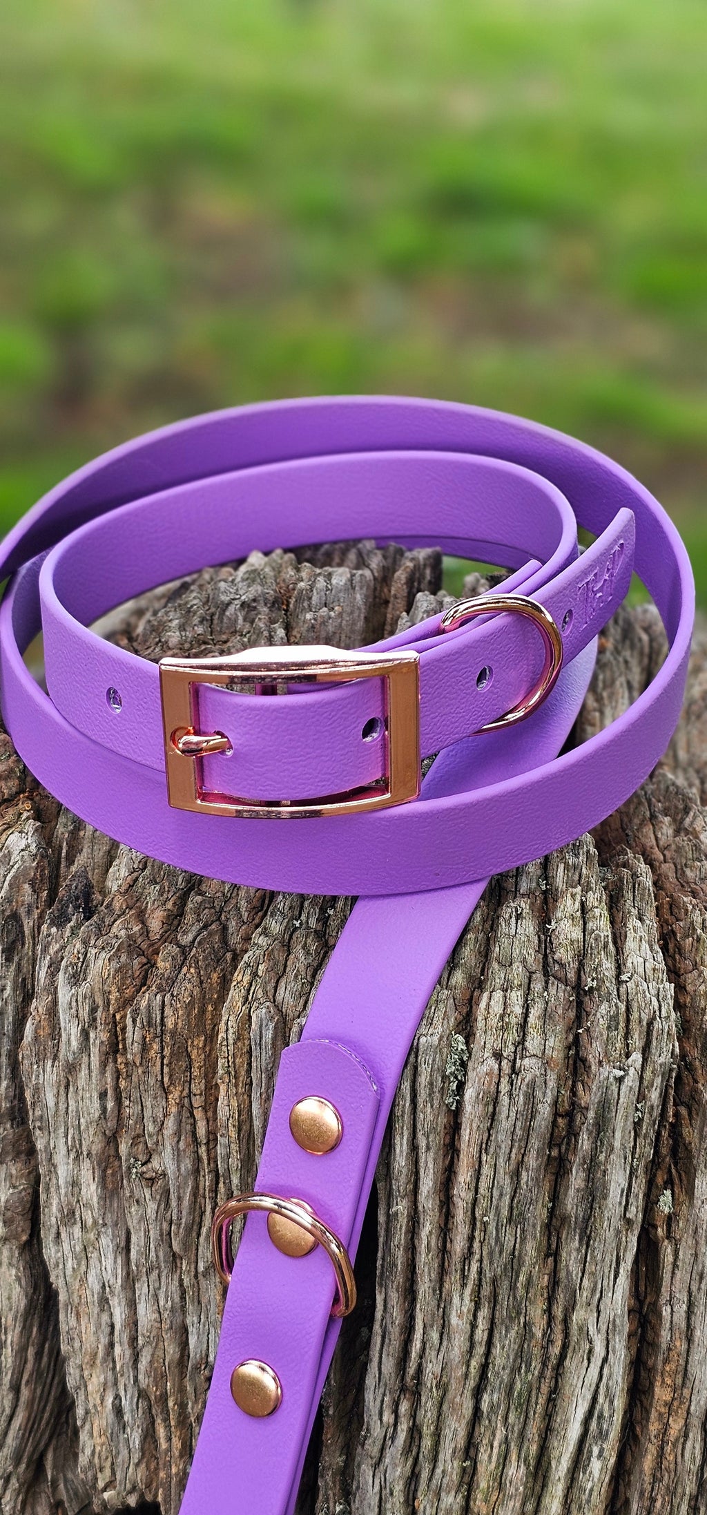 Amethyst - Waterproof BioThane© Dog Lead