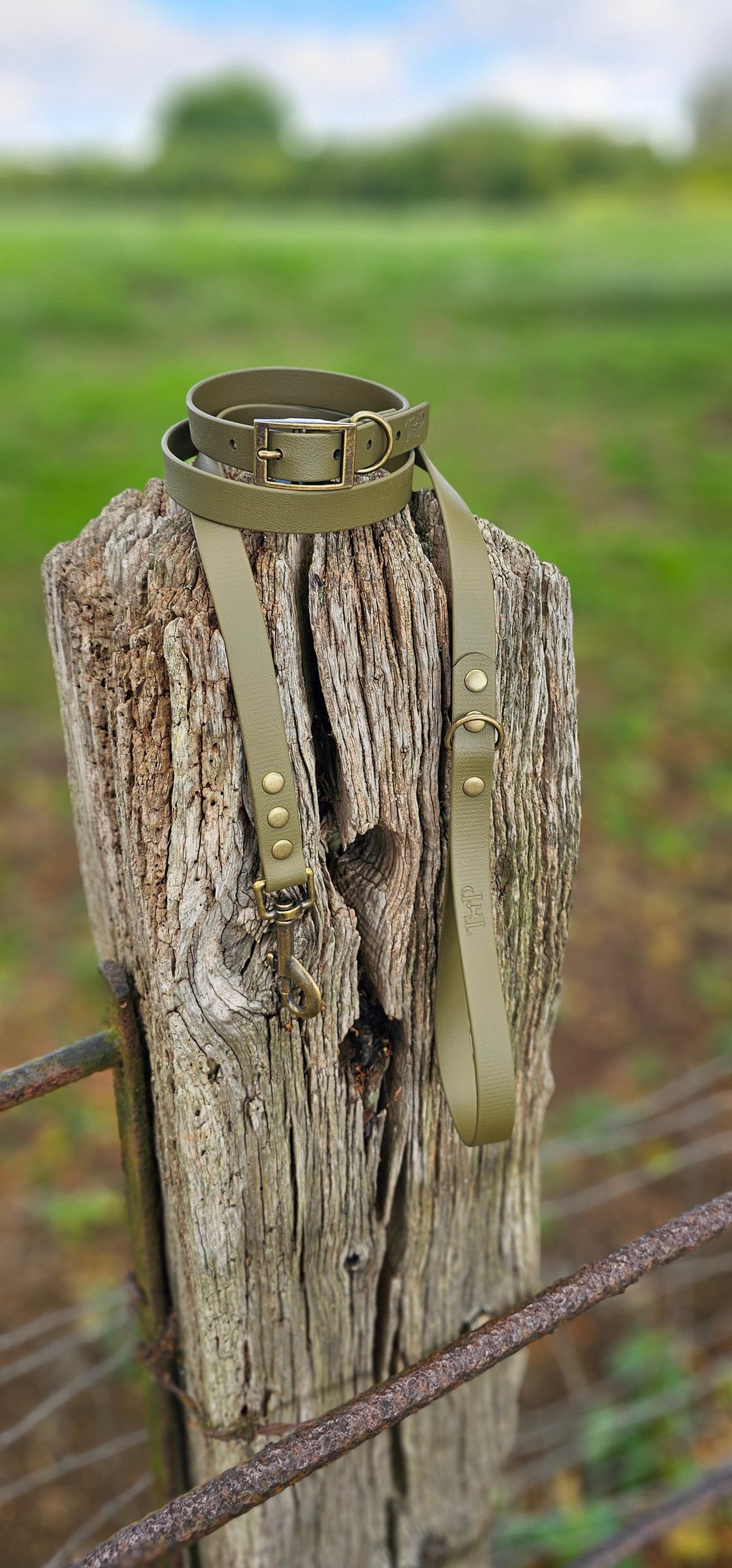 Olive - Waterproof BioThane© Dog Collar