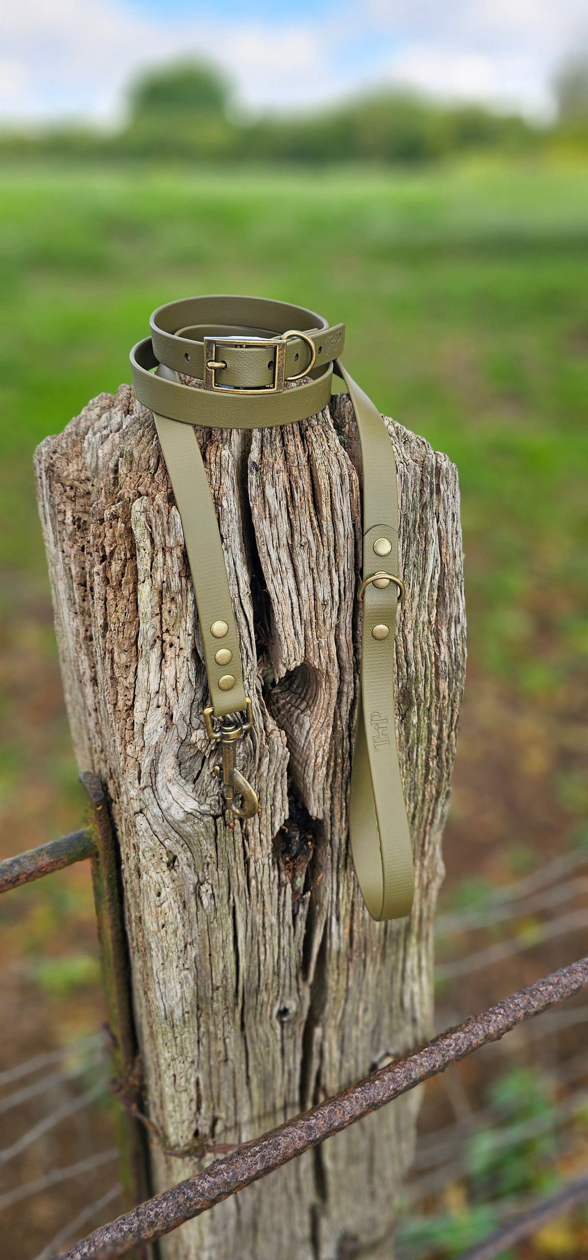 Olive - Waterproof BioThane© Dog Collar