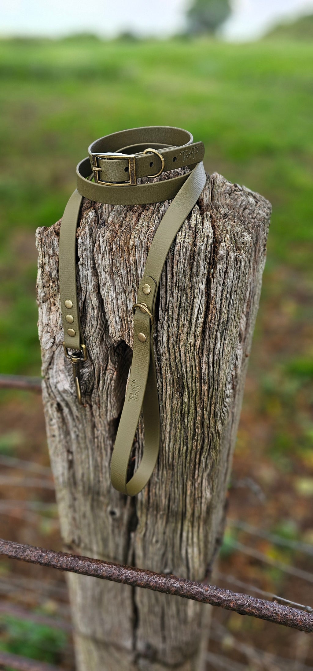 Olive - Waterproof BioThane© Dog Collar