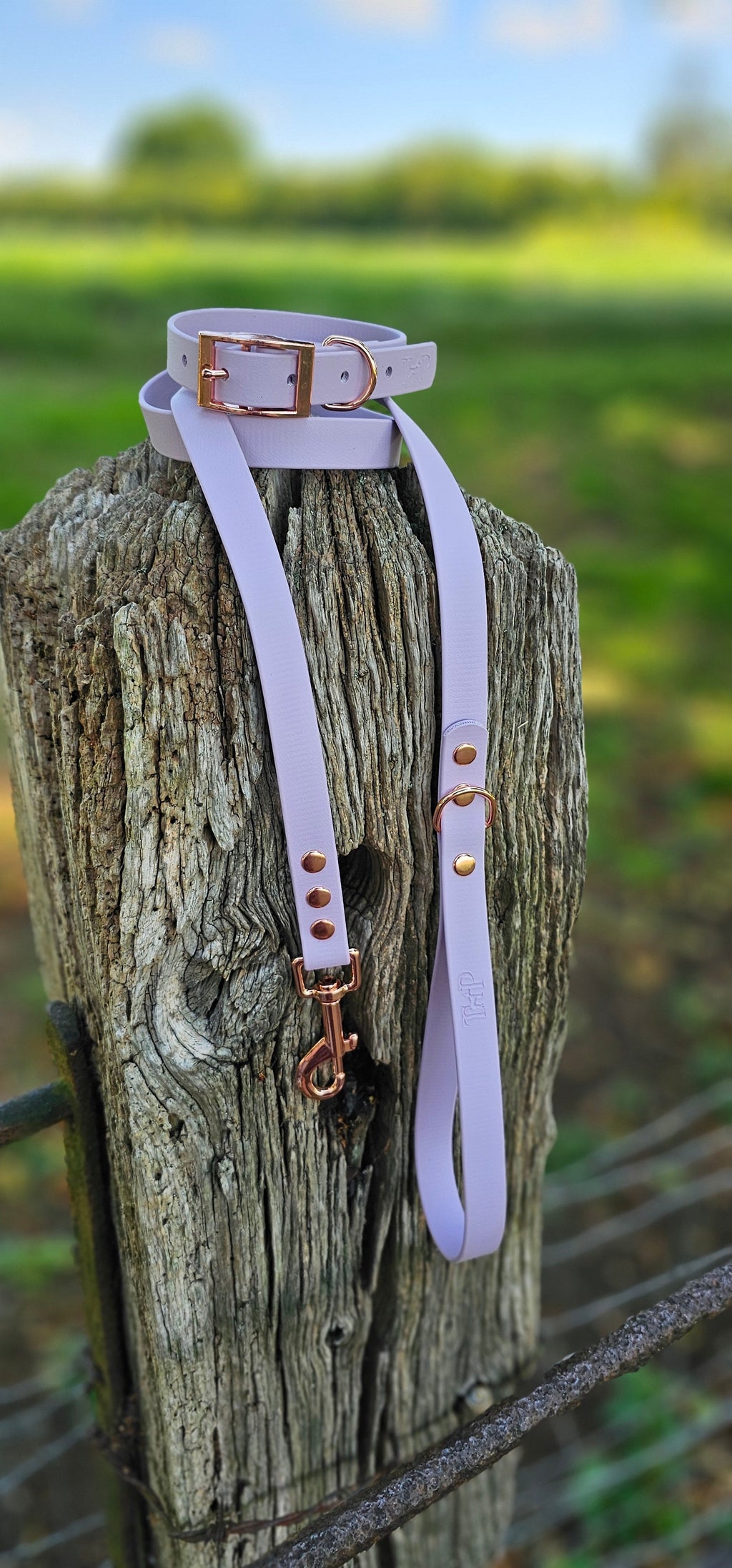 Lilac - Waterproof BioThane© Dog Collar