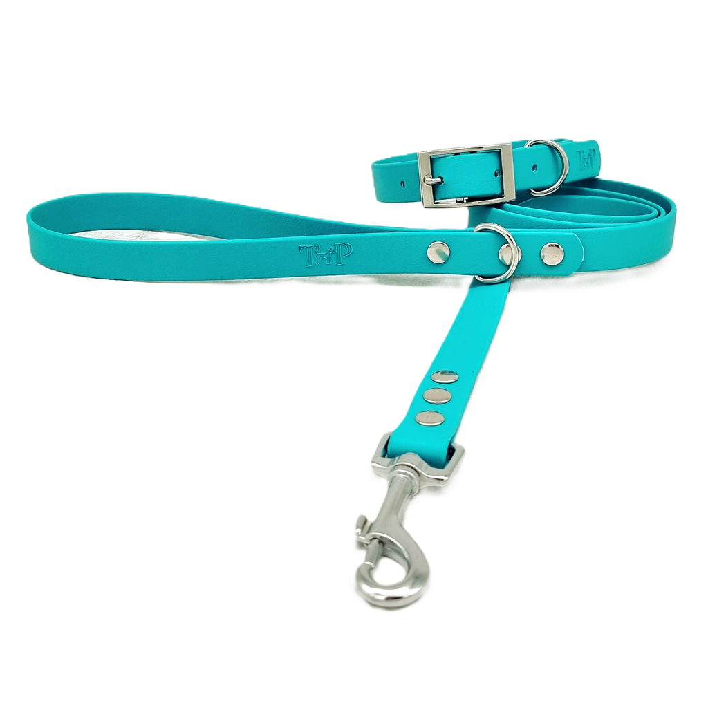 Teal - Waterproof BioThane© Dog Lead