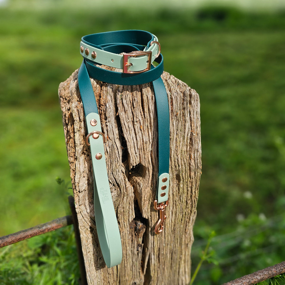 Dark Green & Sage - Waterproof BioThane© Dog Lead