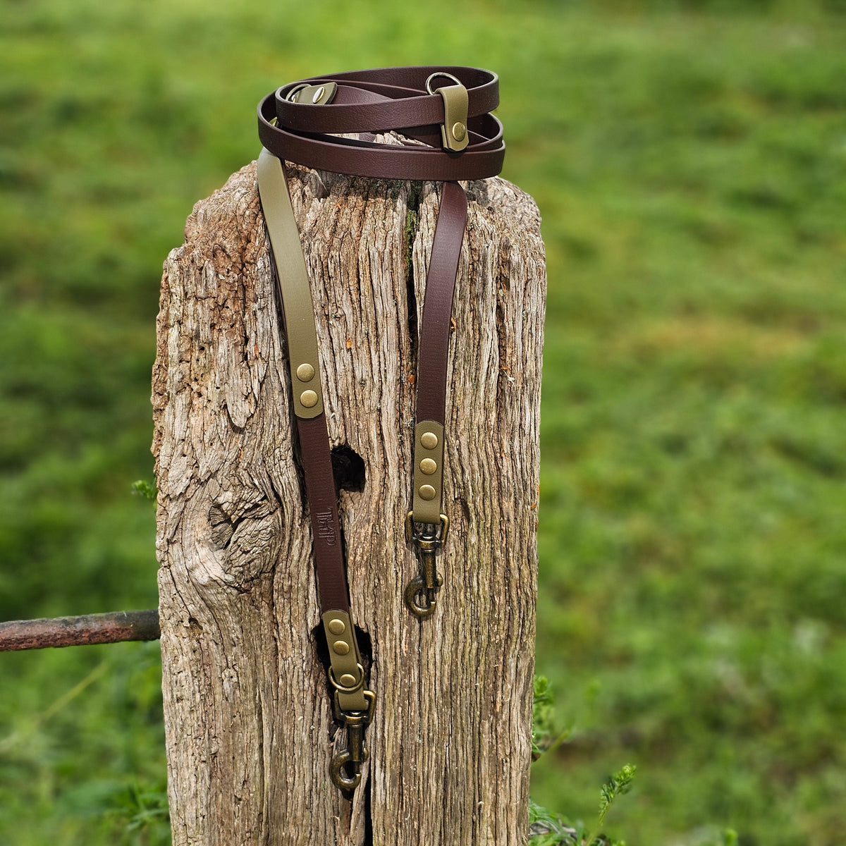 Dark Brown & Olive - Waterproof BioThane© handsfree Dog Training Lead