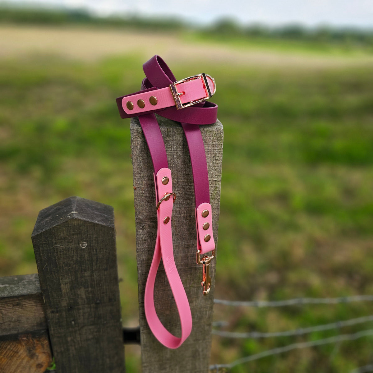 Burgundy & Baby Pink - Waterproof BioThane© two-coloured Dog Collar
