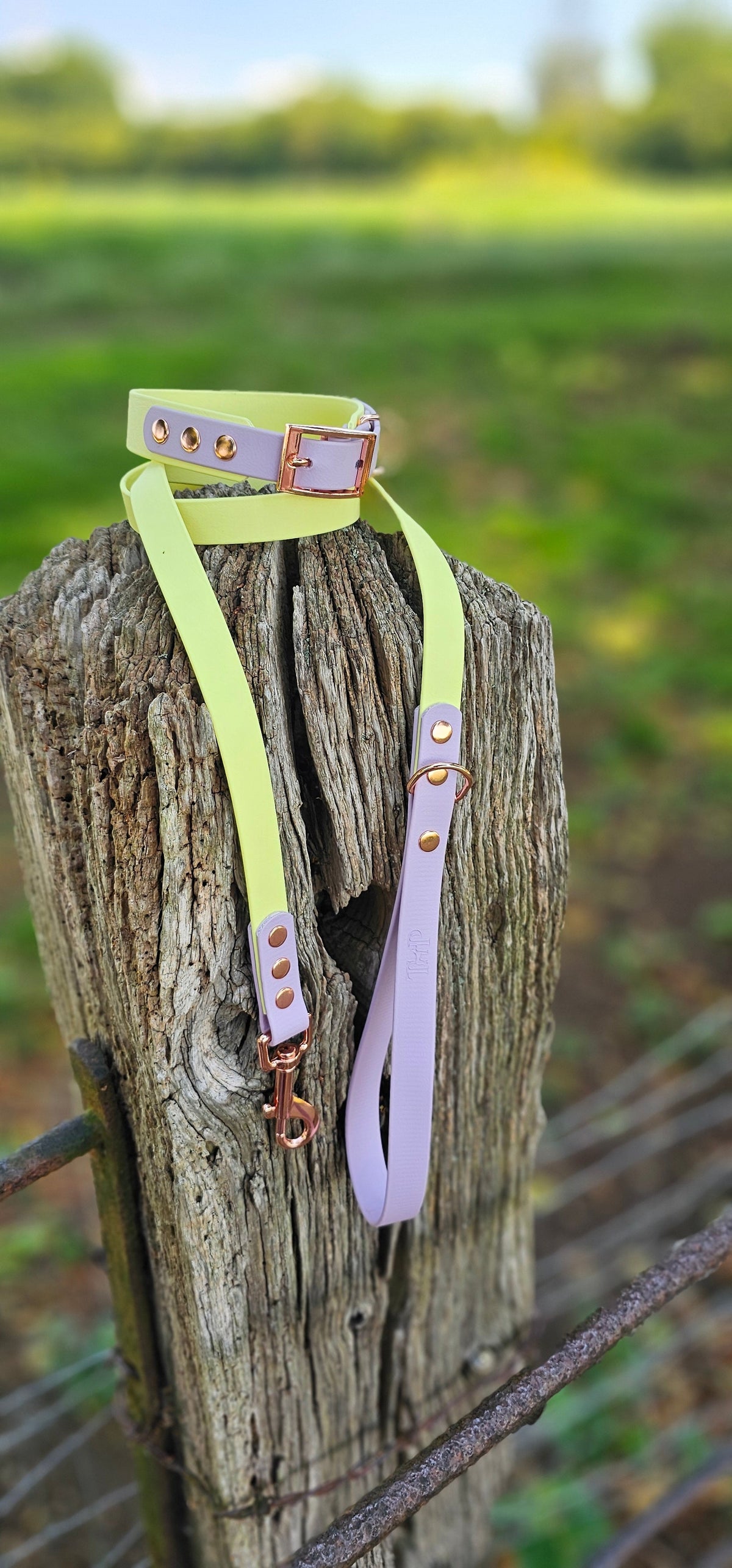 Lemon & Lilac - Waterproof BioThane© Dog Lead