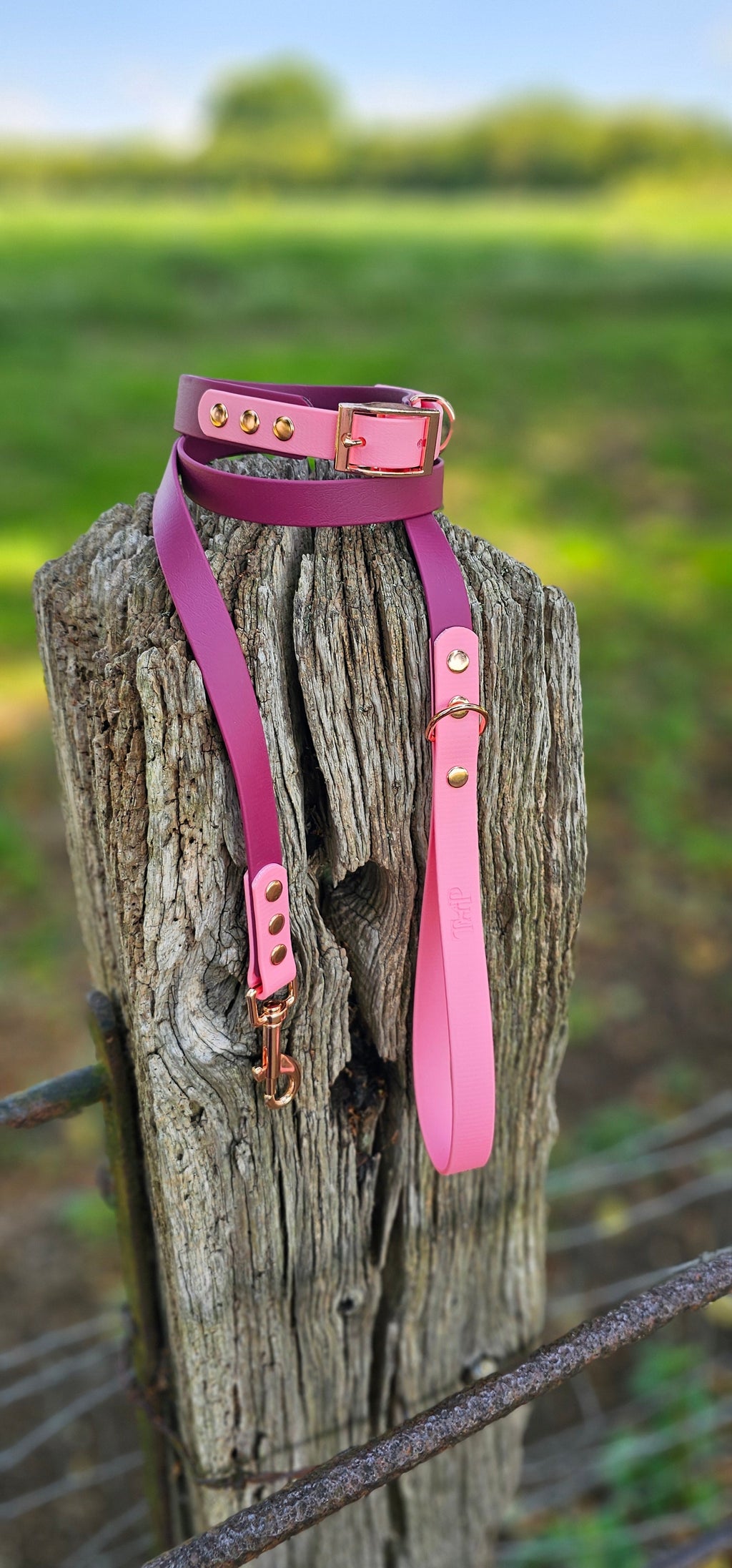 Burgundy & Baby Pink - Waterproof BioThane© two-coloured Dog Collar