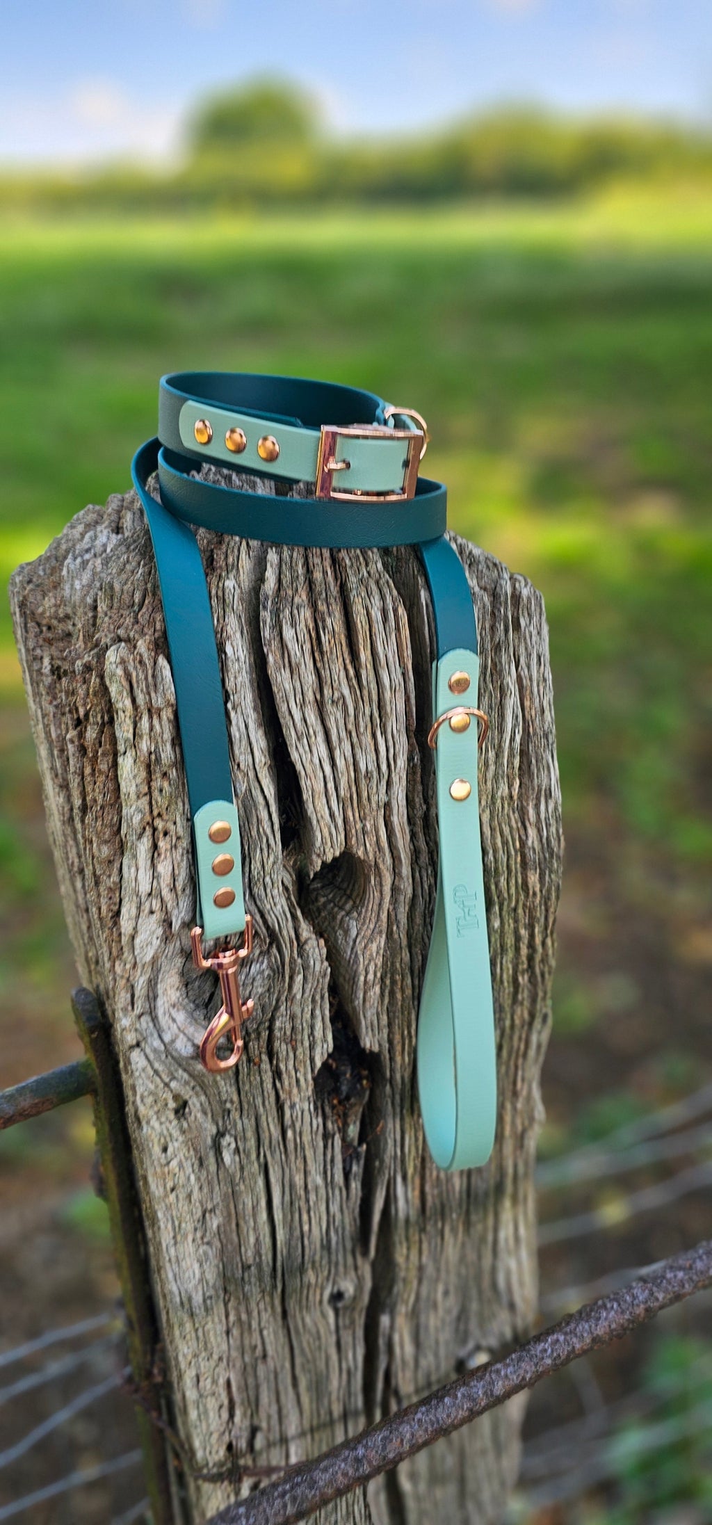Dark Green & Sage - Waterproof BioThane© Dog Lead