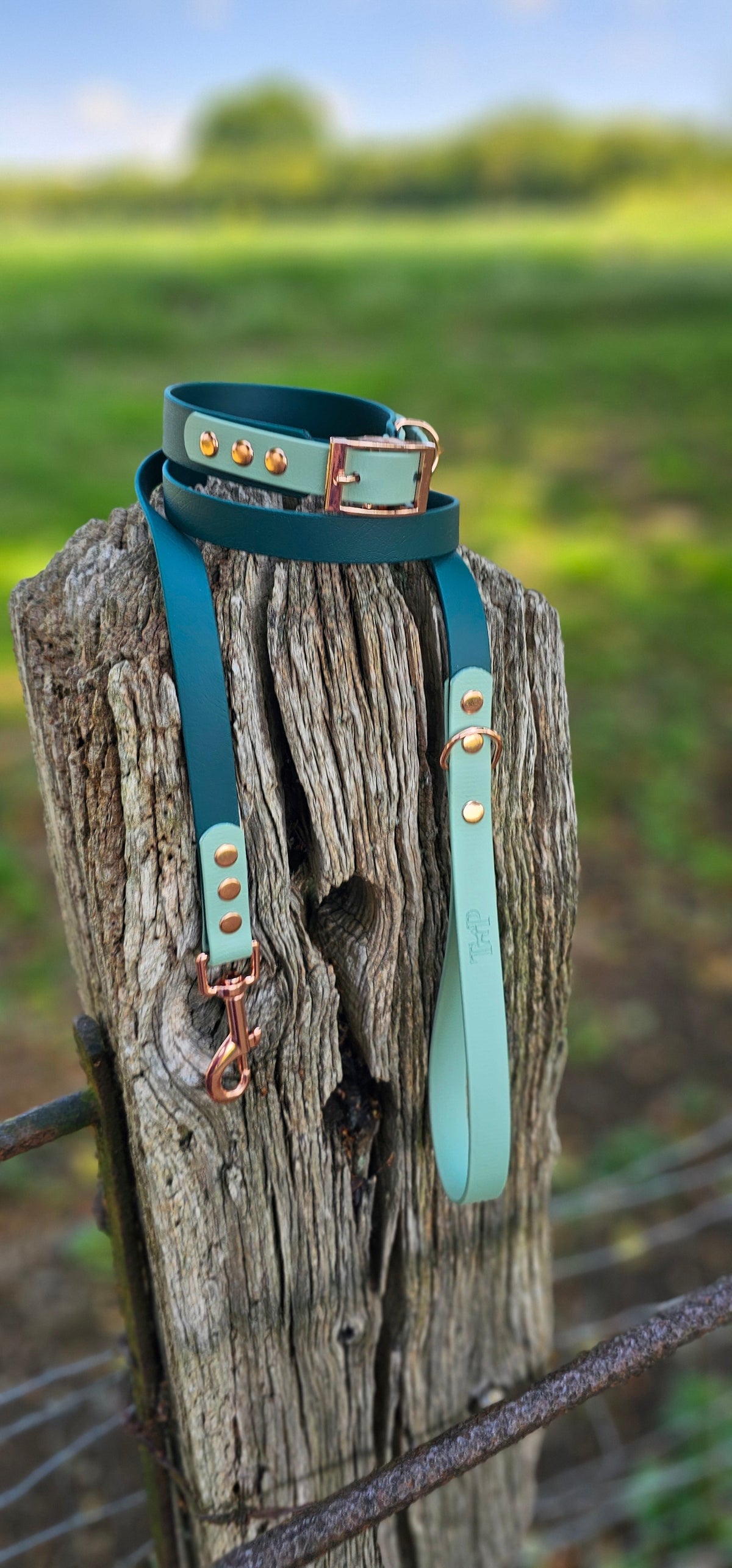 Dark Green & Sage - Waterproof BioThane© Dog Lead