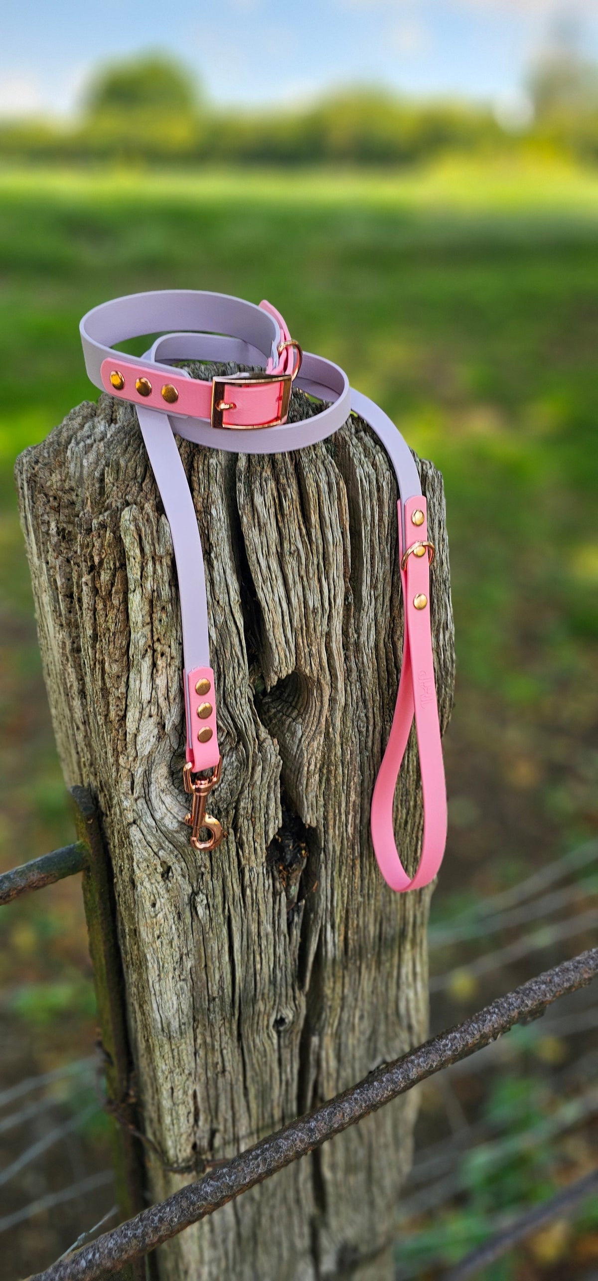 Lilac & Baby Pink - Waterproof BioThane© Dog Lead