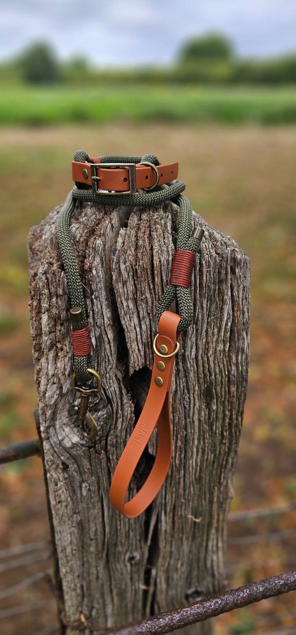 Army Green & Tan - Classic Rope Dog Lead