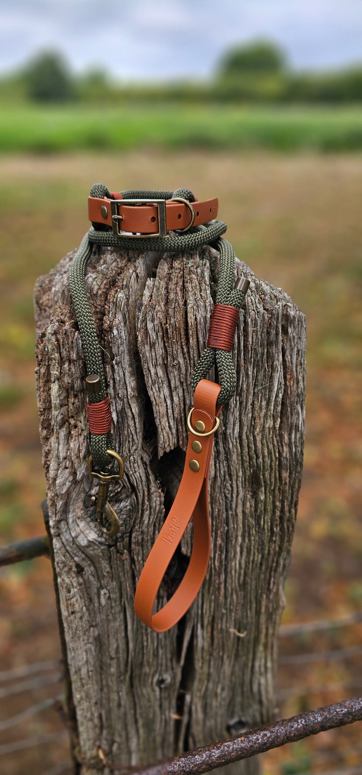 Army Green & Tan - Classic Rope Dog Lead