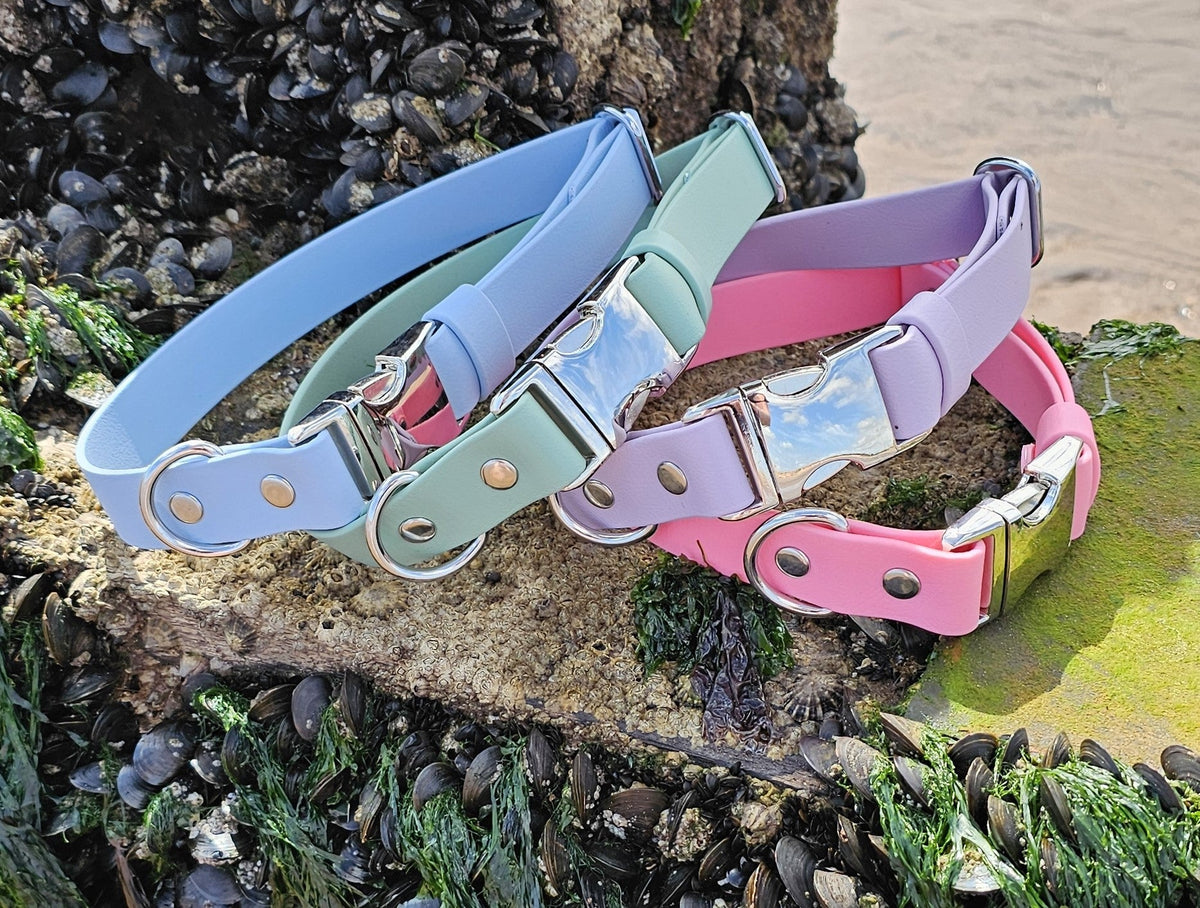 Pastel Blue - Everlast Waterproof BioThane© Quick-Release Buckle Dog Collar
