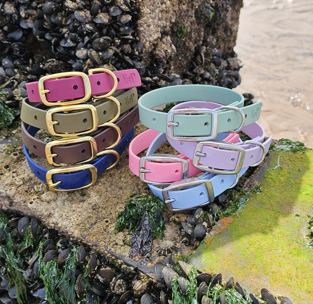 Red - Everlast Waterproof BioThane© Dog Collar
