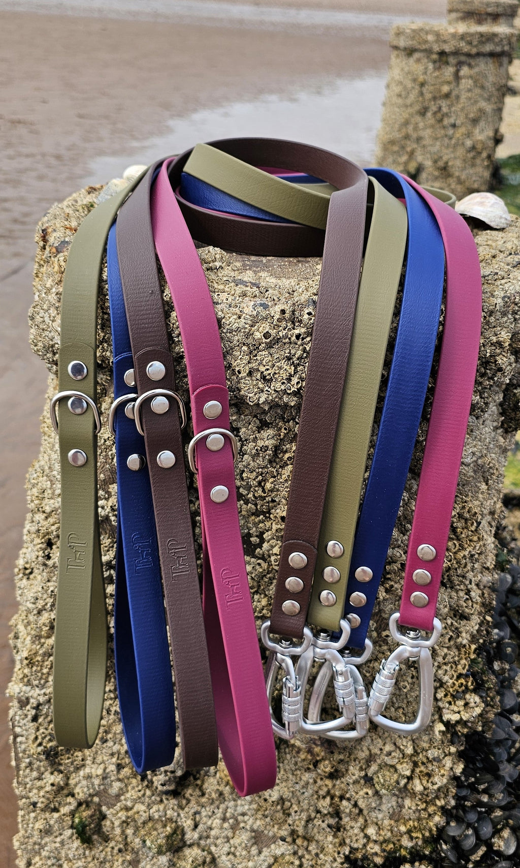 Tan - Everlast Waterproof BioThane© Dog Lead