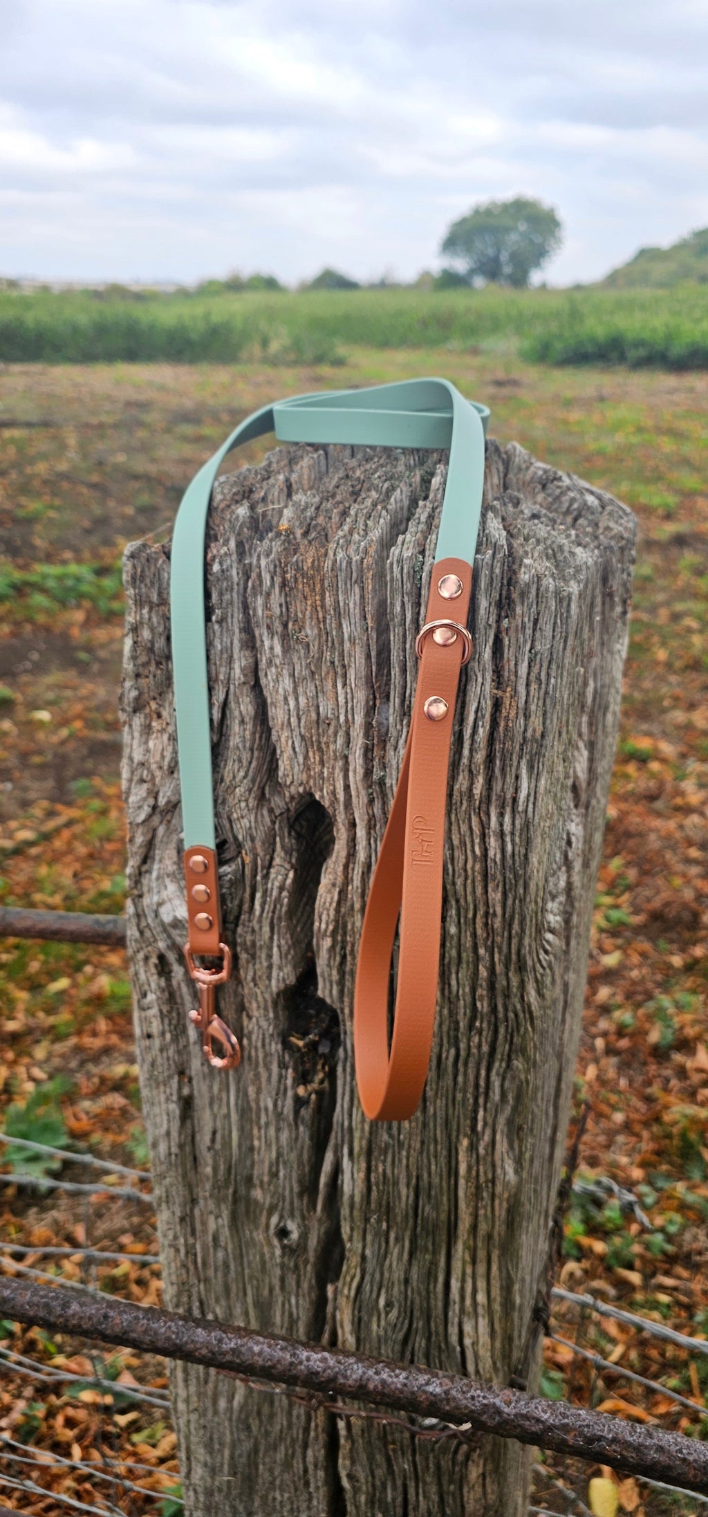 Sage & Tan - Waterproof BioThane© Dog Lead