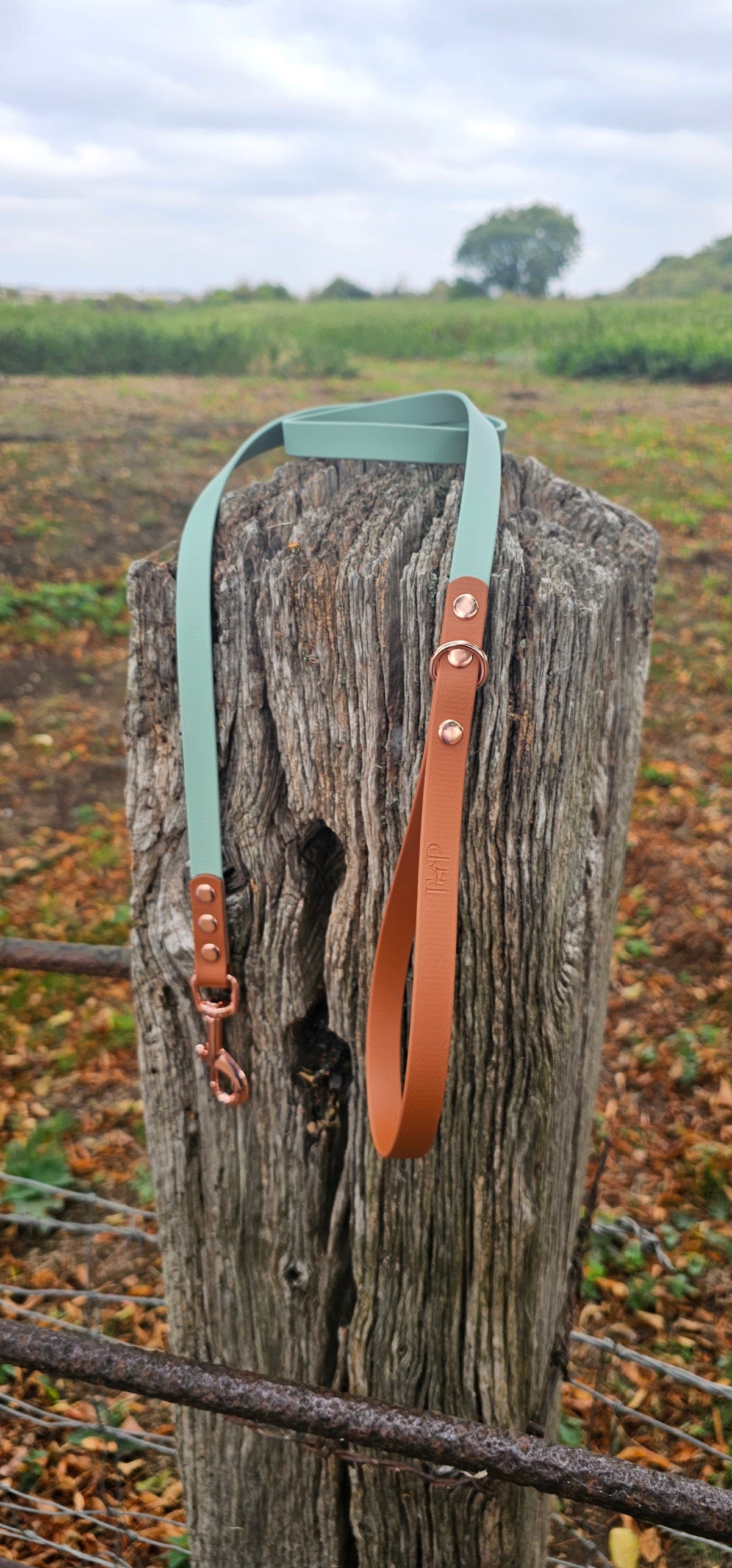 Sage & Tan - Waterproof BioThane© Dog Lead