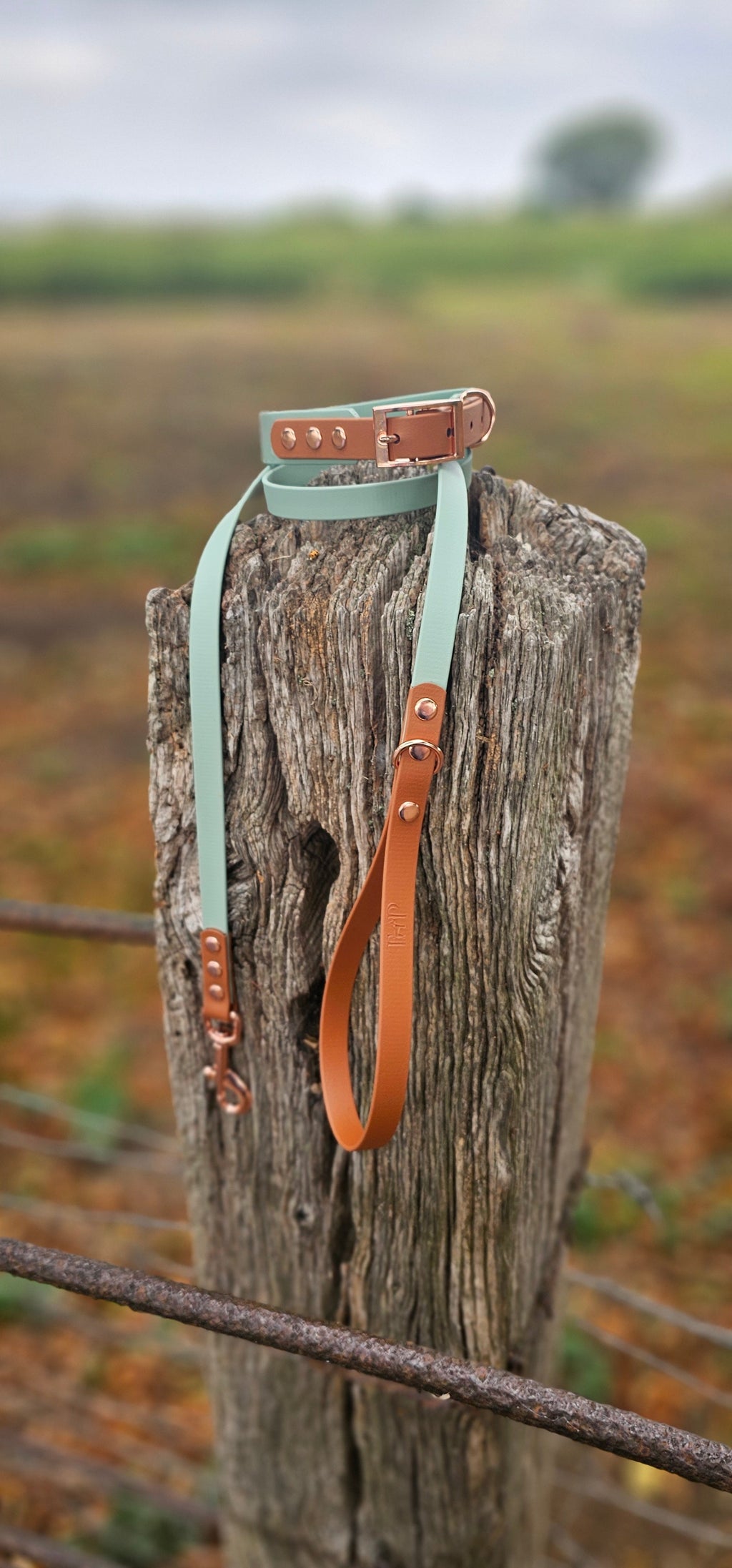 Sage & Tan - Waterproof BioThane© two-coloured Dog Collar