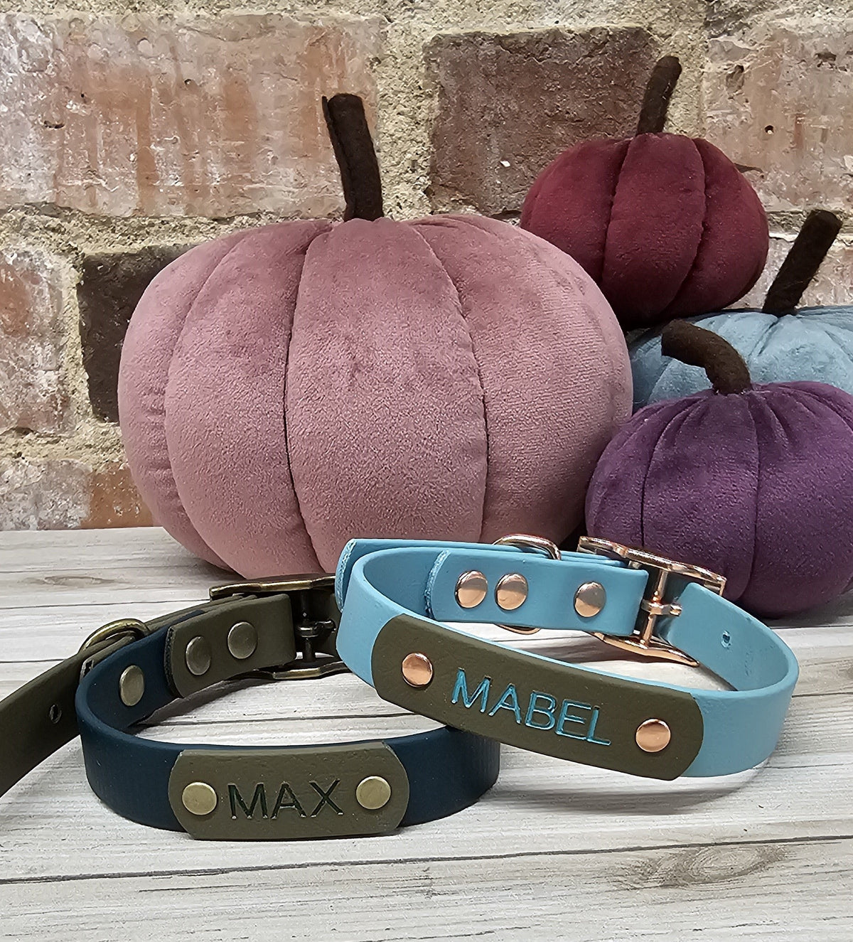 Biothane Collar and Lead Personalisation - Engraving
