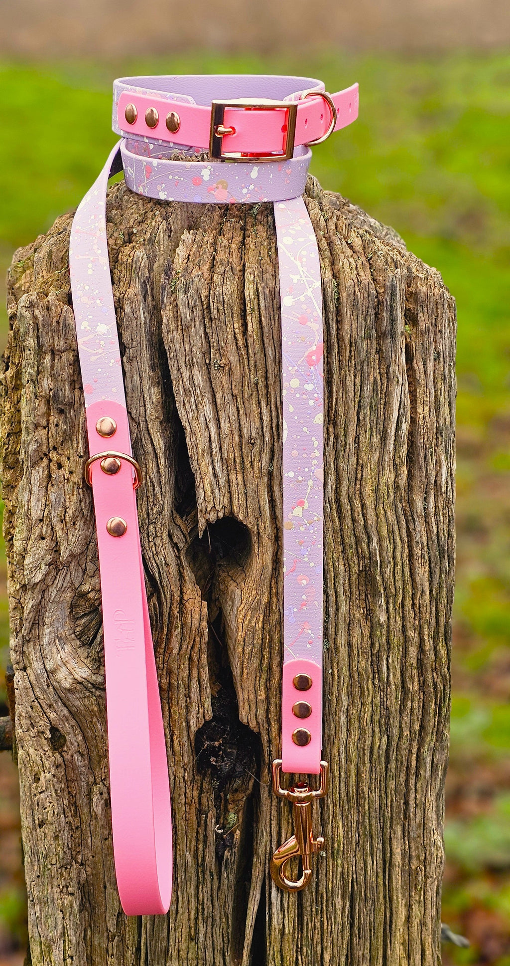 Petal Blossom - Waterproof BioThane© Splatter Dog Lead - Pastel Collection