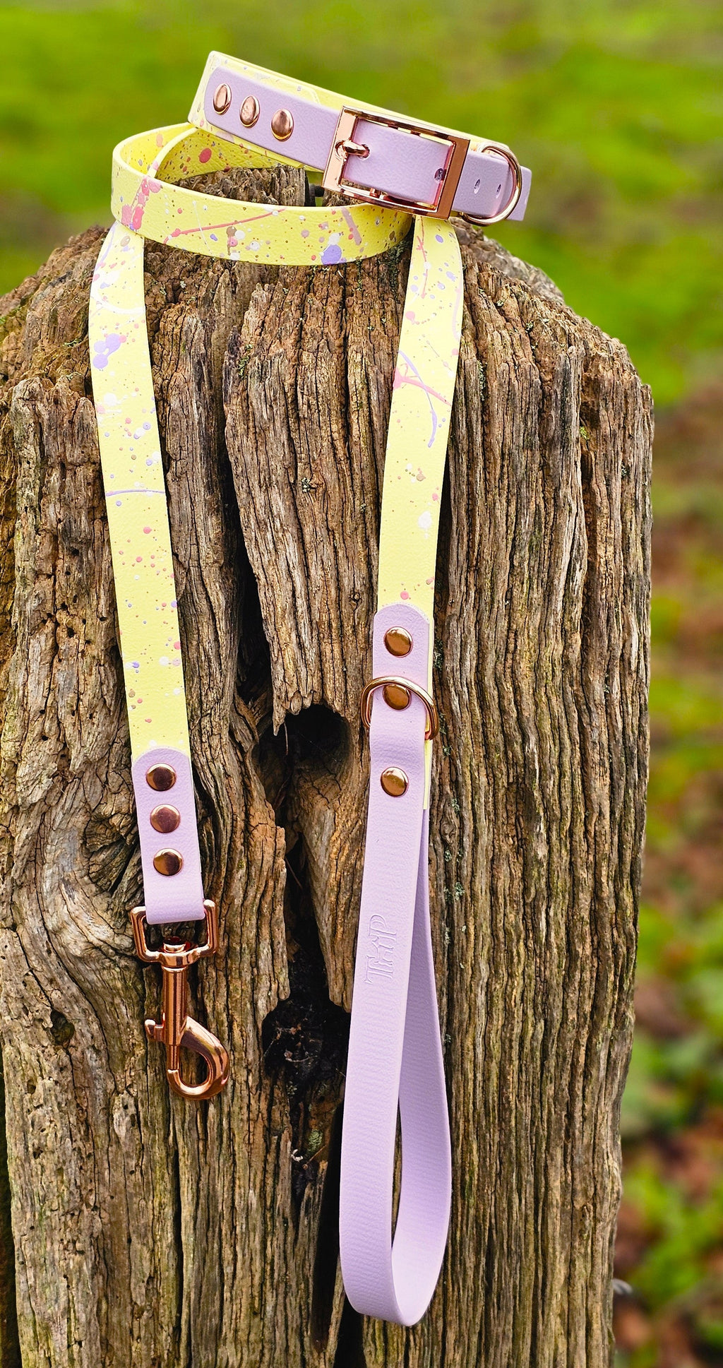 Lavender Lemonade - Waterproof BioThane© Splatter Dog Lead - Pastel Collection