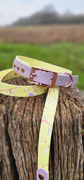 Lavender Lemonade - Waterproof BioThane© Splatter Dog Collar - Pastel Collection