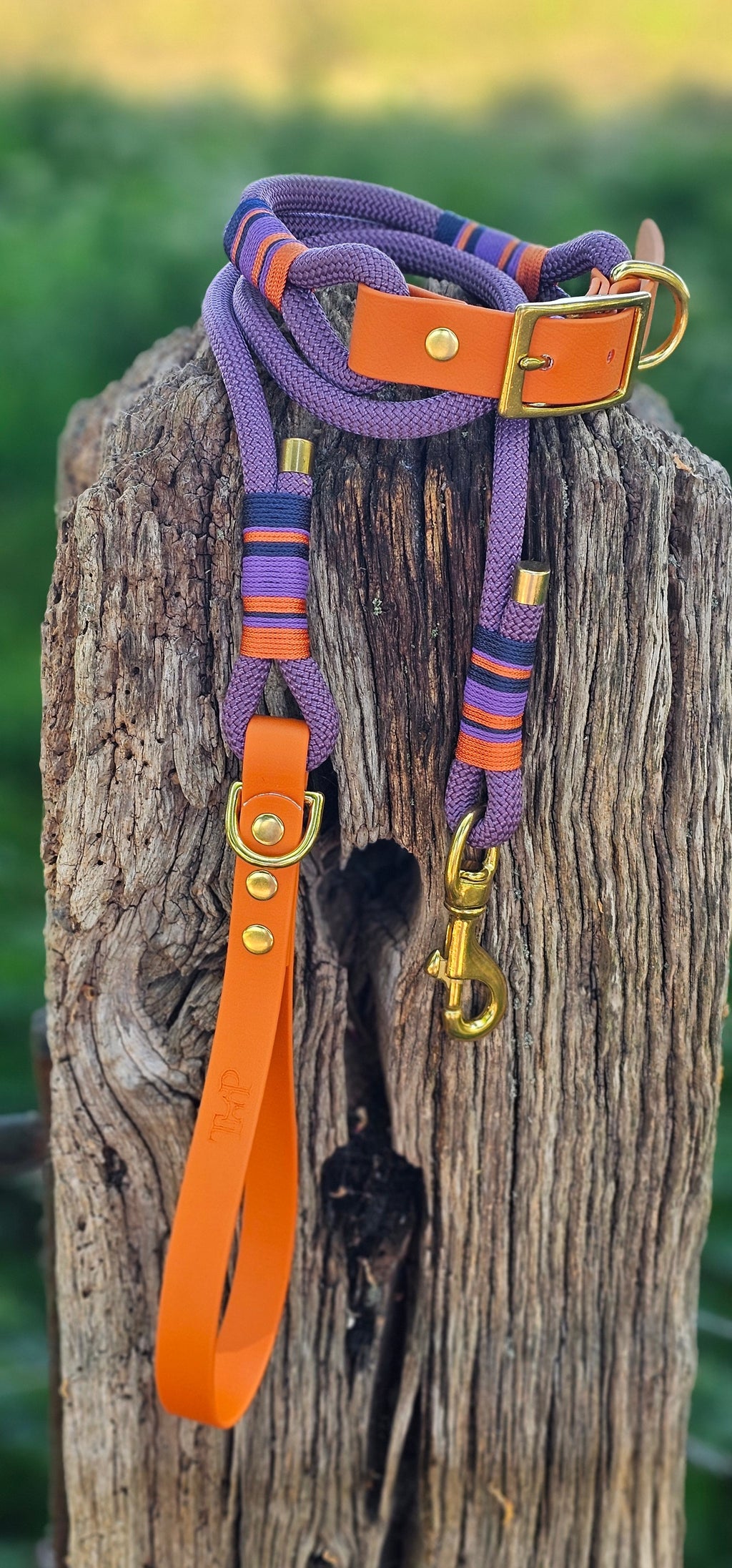 Ascot - Premium Rope Dog Collar