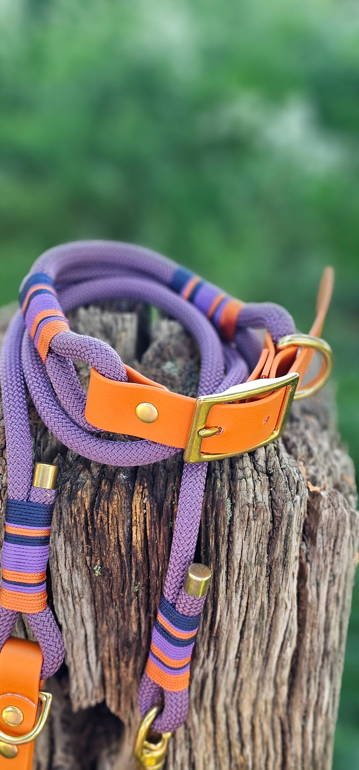 Ascot - Premium Rope Dog Collar