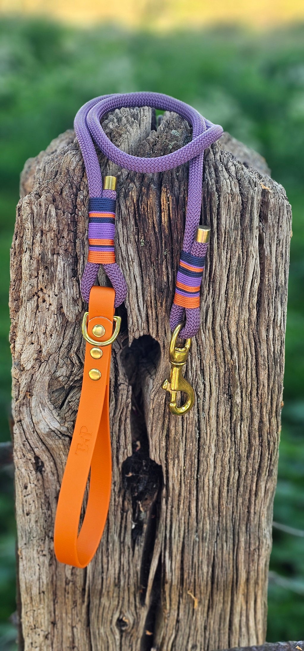 Ascot - Premium Rope Dog Lead