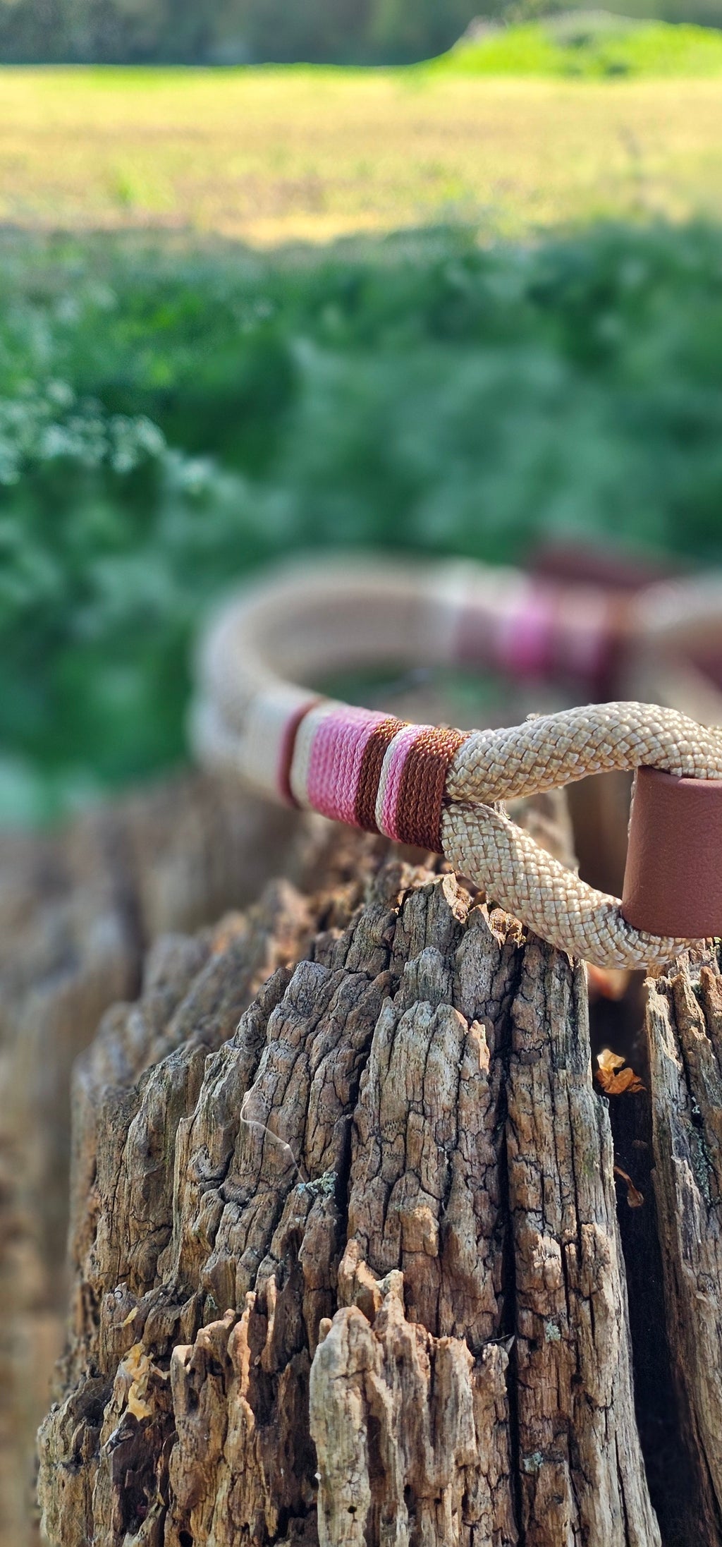 Cotswold - Premium Rope Dog Collar