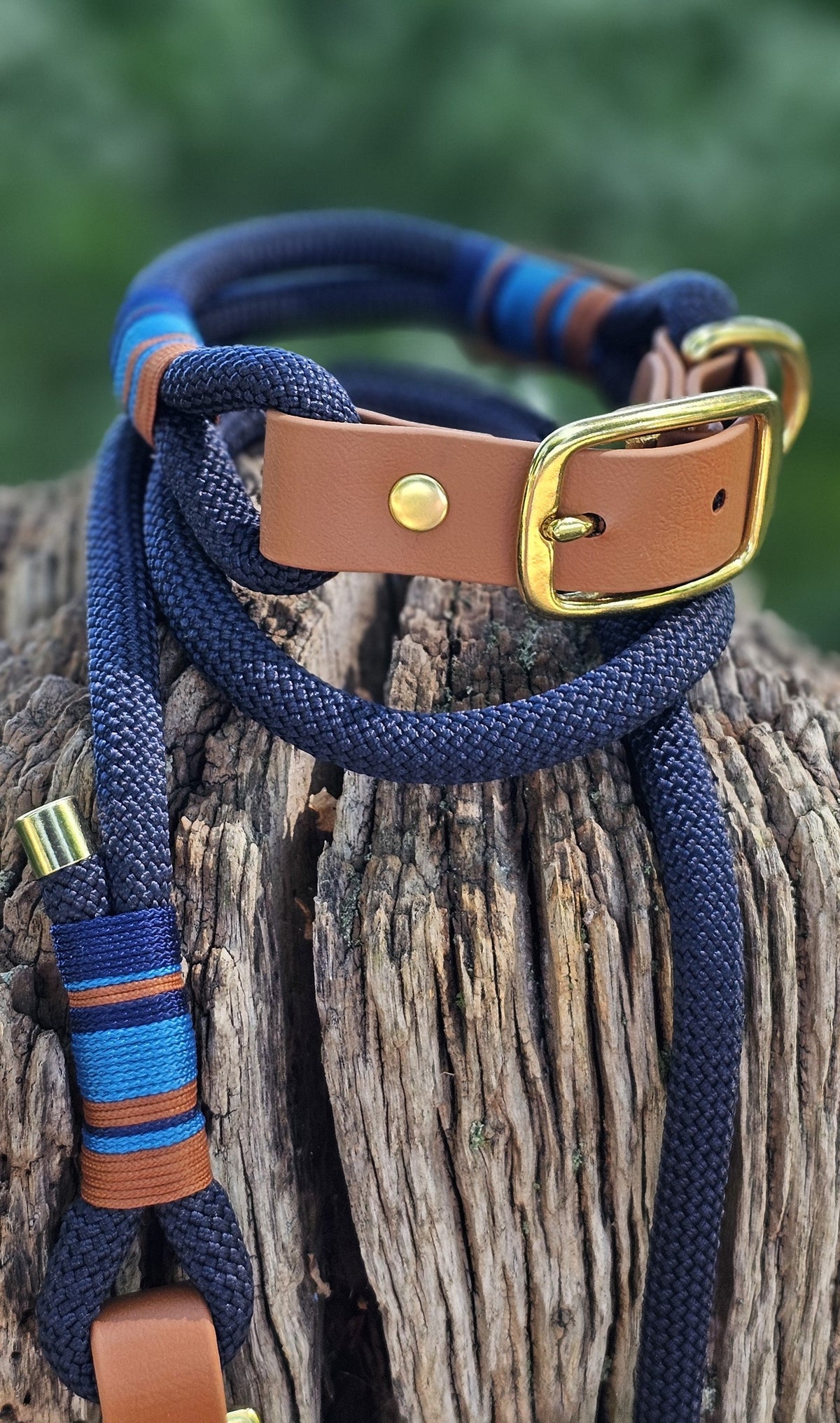 Windsor - Premium Rope Slip Lead / Figure 8 Dog Lead